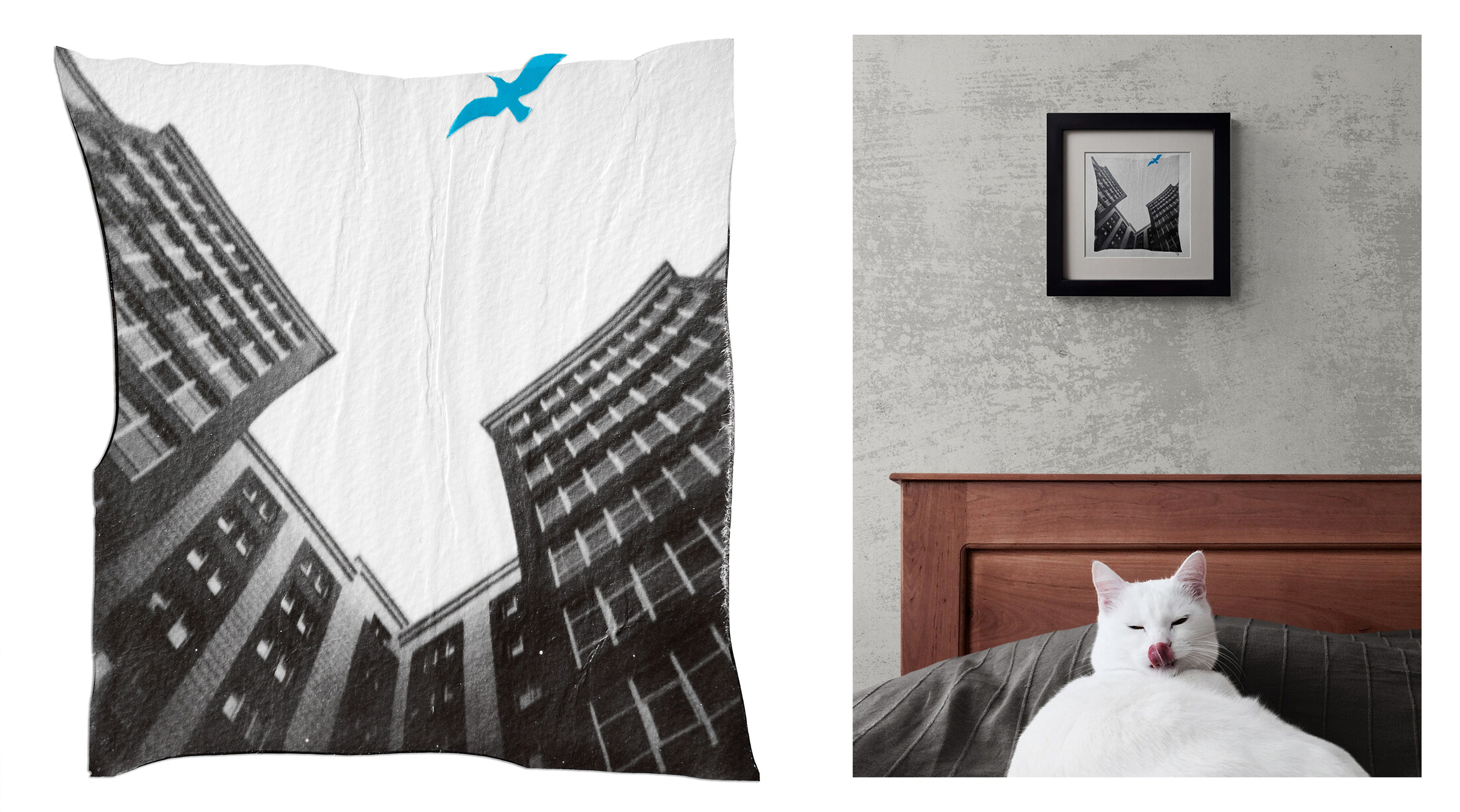 Polaroid art. Vladimir Borele Photographer