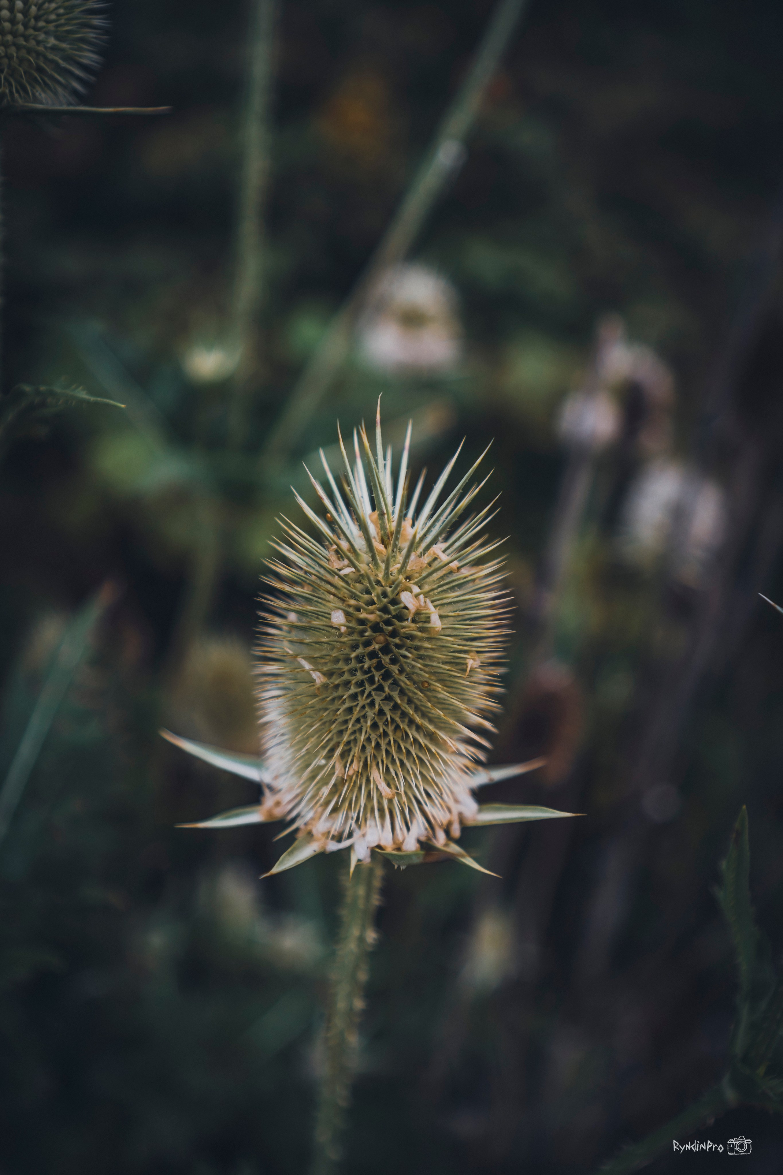 Поход на водопады Куаго с командой Мадьяр 23.07.24. Репортажный фотограф в Краснодаре Рындин Дмитрий