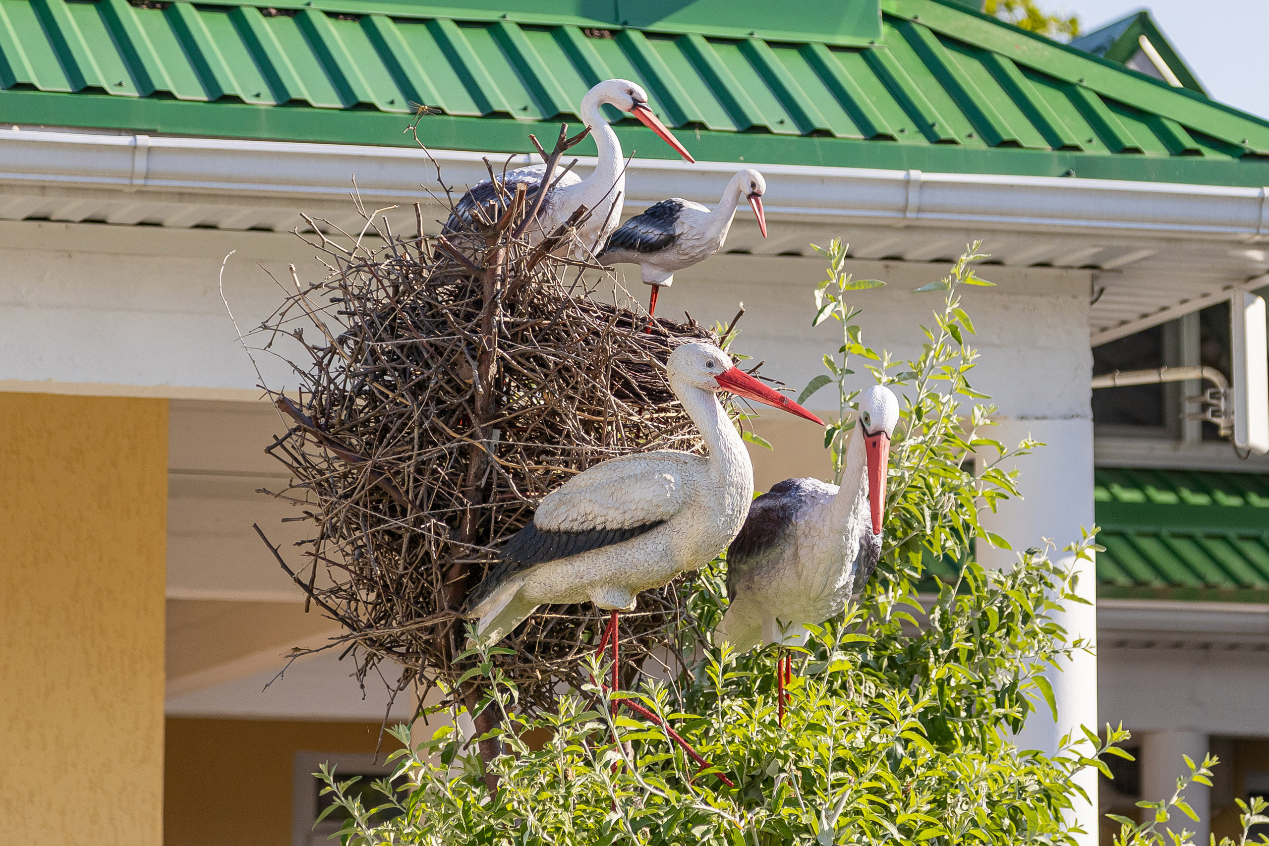 ГК «РУСИЧ» — Гостиничный комплекс Русич. г. Анапа. Интерьерный фотограф Краснодар: профессионально по доступным ценам