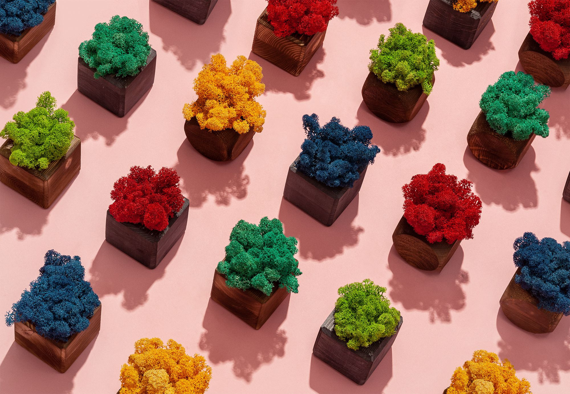 Предметная фотография. Студия предметной фотосъемки в Санкт-Петербурге