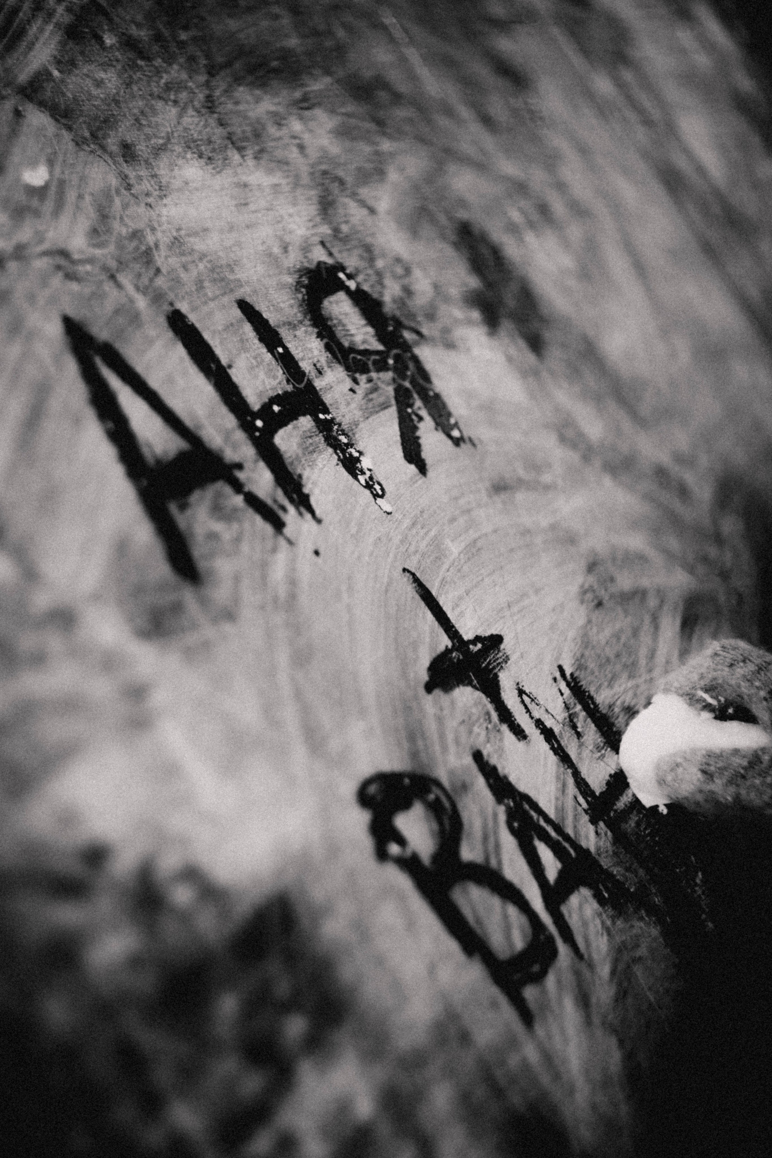 АНя+ Ваня. Фотограф в Нижнем Новгороде