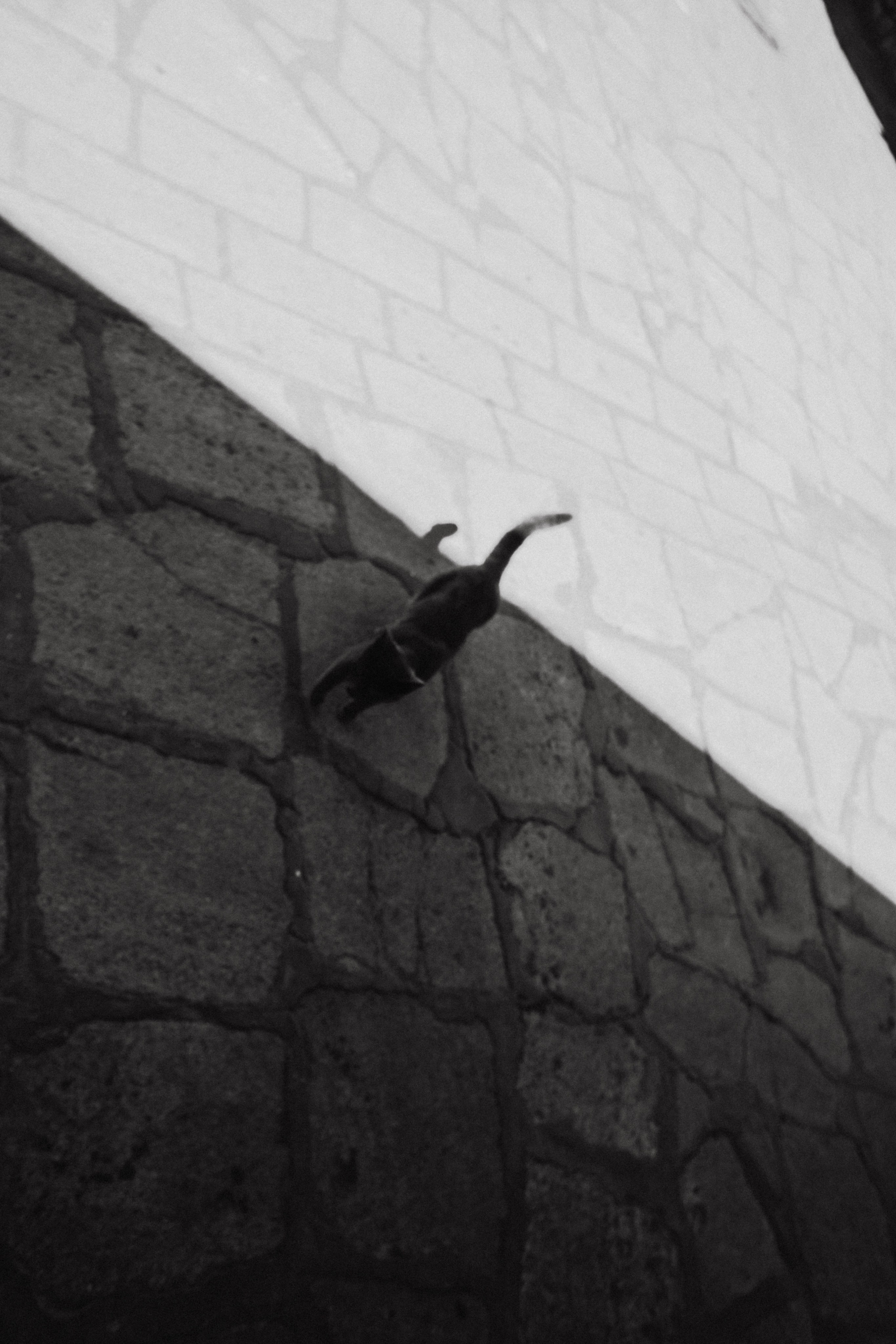 Дагестан. Чечня. 2024. Фотограф в Нижнем Новгороде