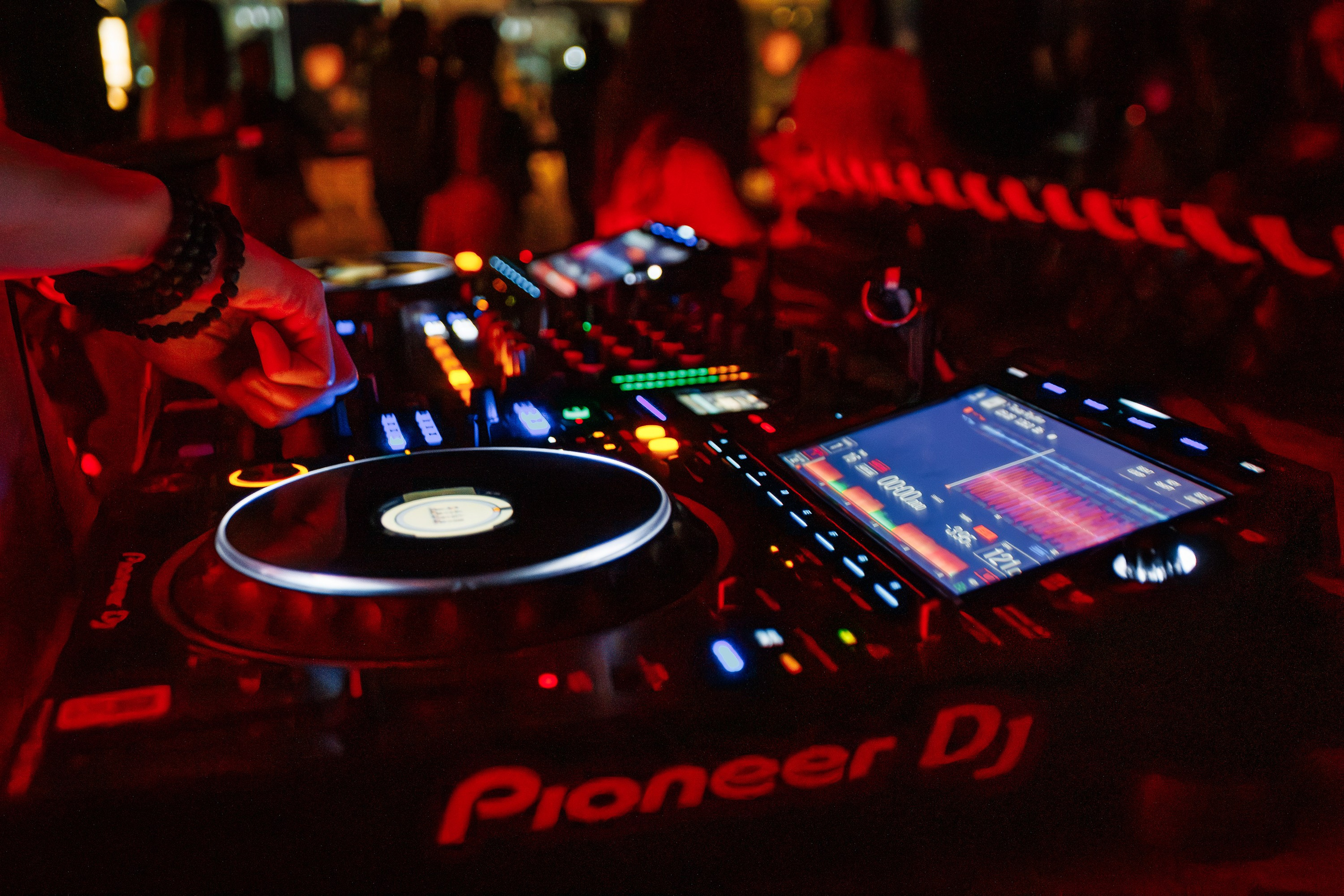 «Karena Makarena"_Чайка на пляже_ Ялта_6.06.2025 г. Аминов Руслан | Фотограф