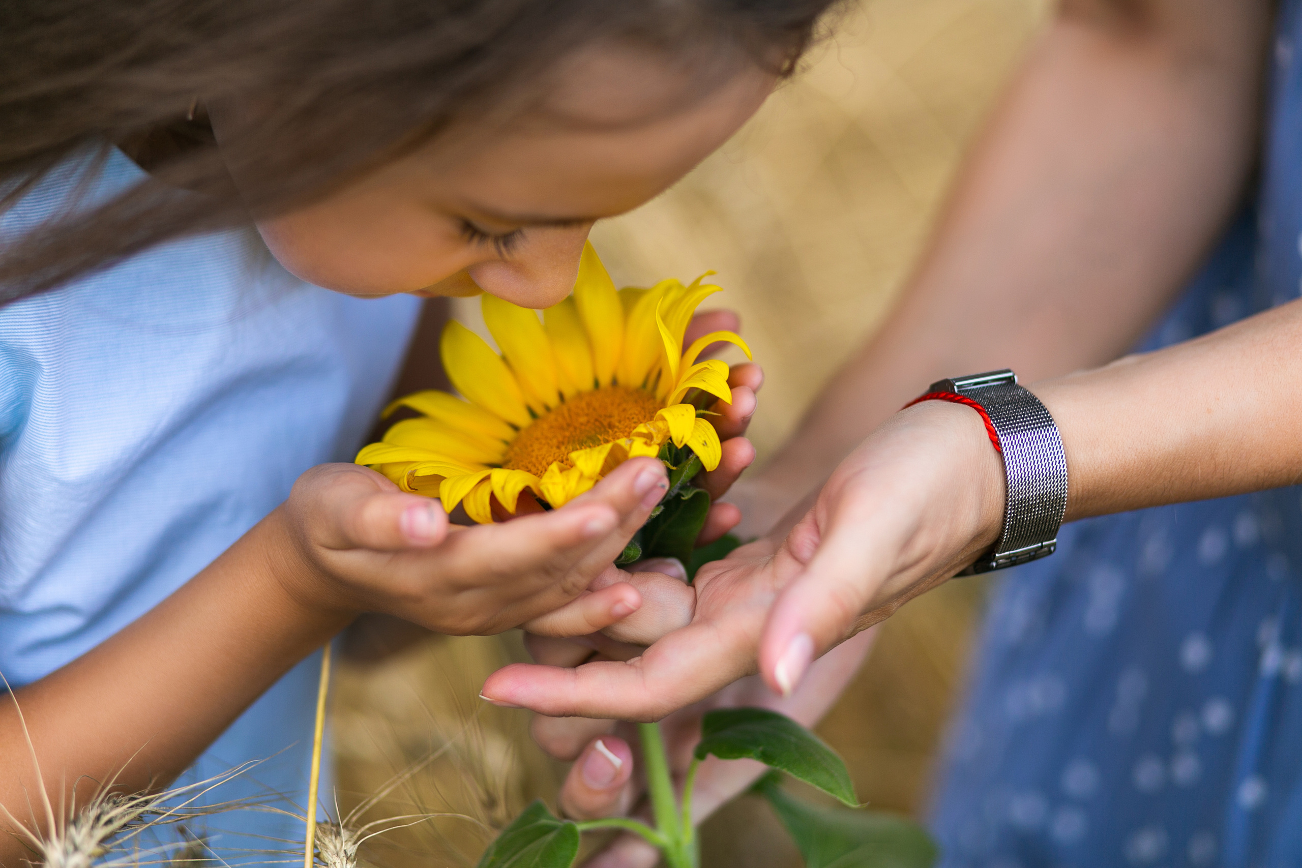 В поле. Свадебный и семейный фотограф у Уфе Евгения Сазонова