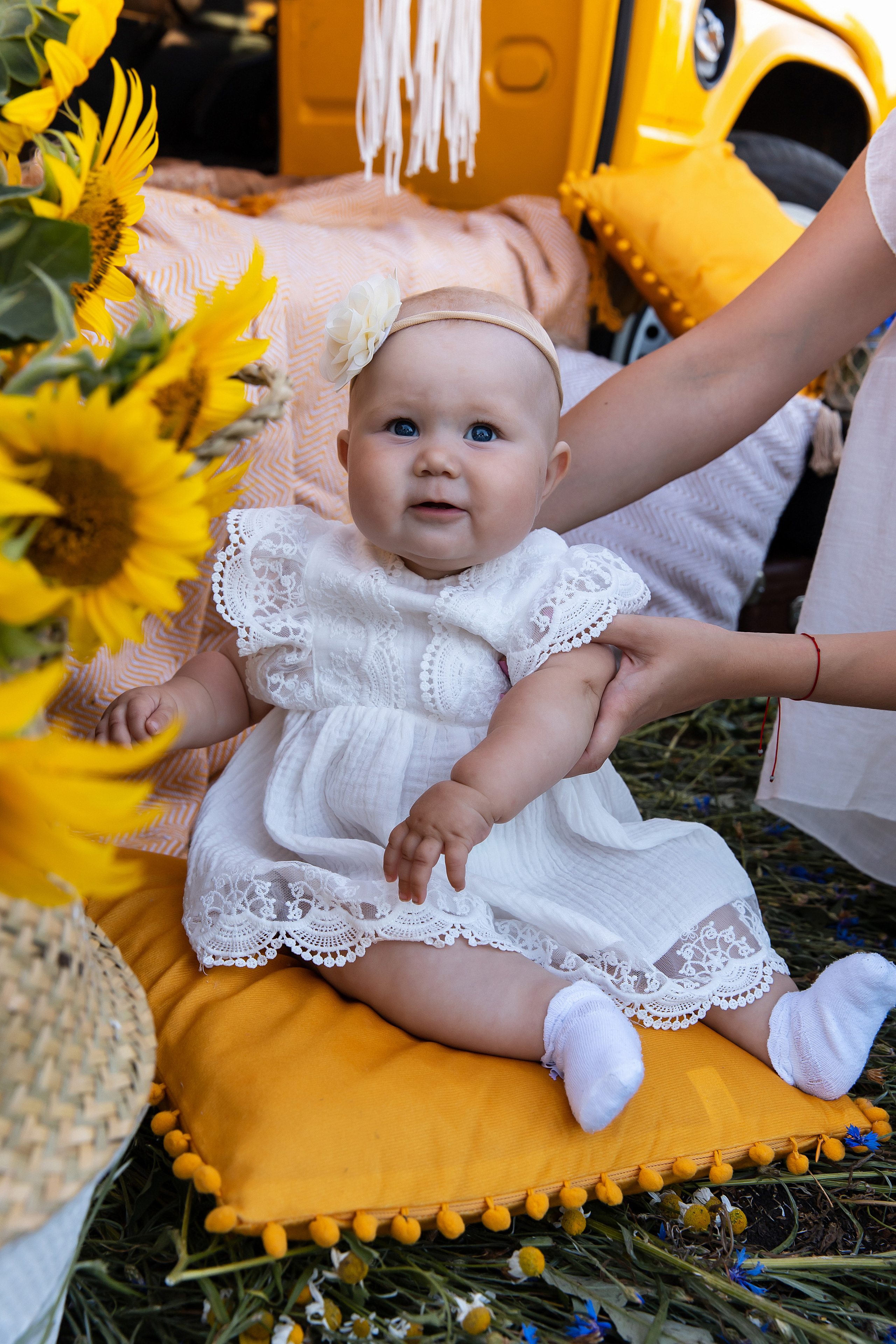 Подсолнухи. Свадебный и семейный фотограф у Уфе Евгения Сазонова