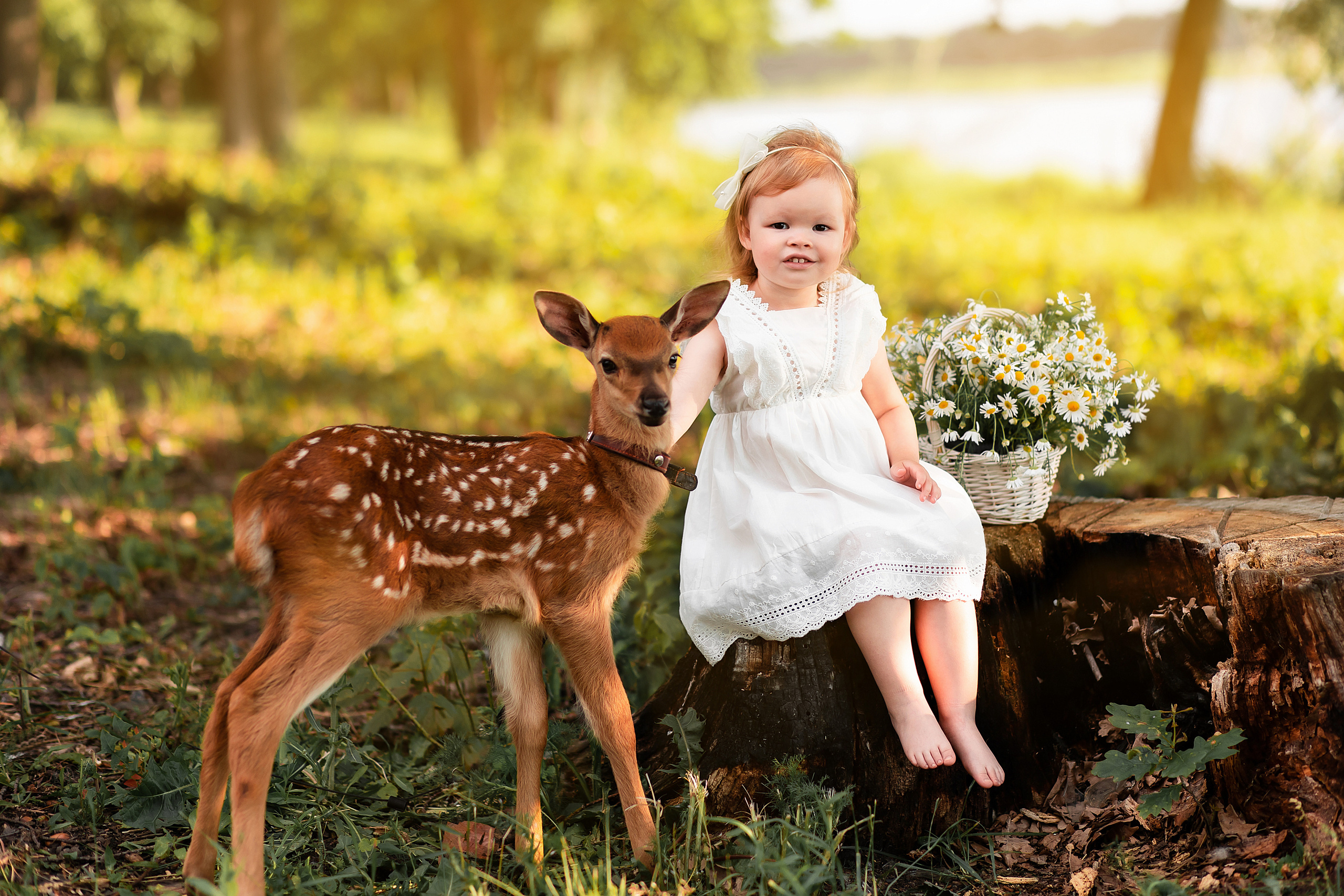 С олененком. Свадебный и семейный фотограф у Уфе Евгения Сазонова