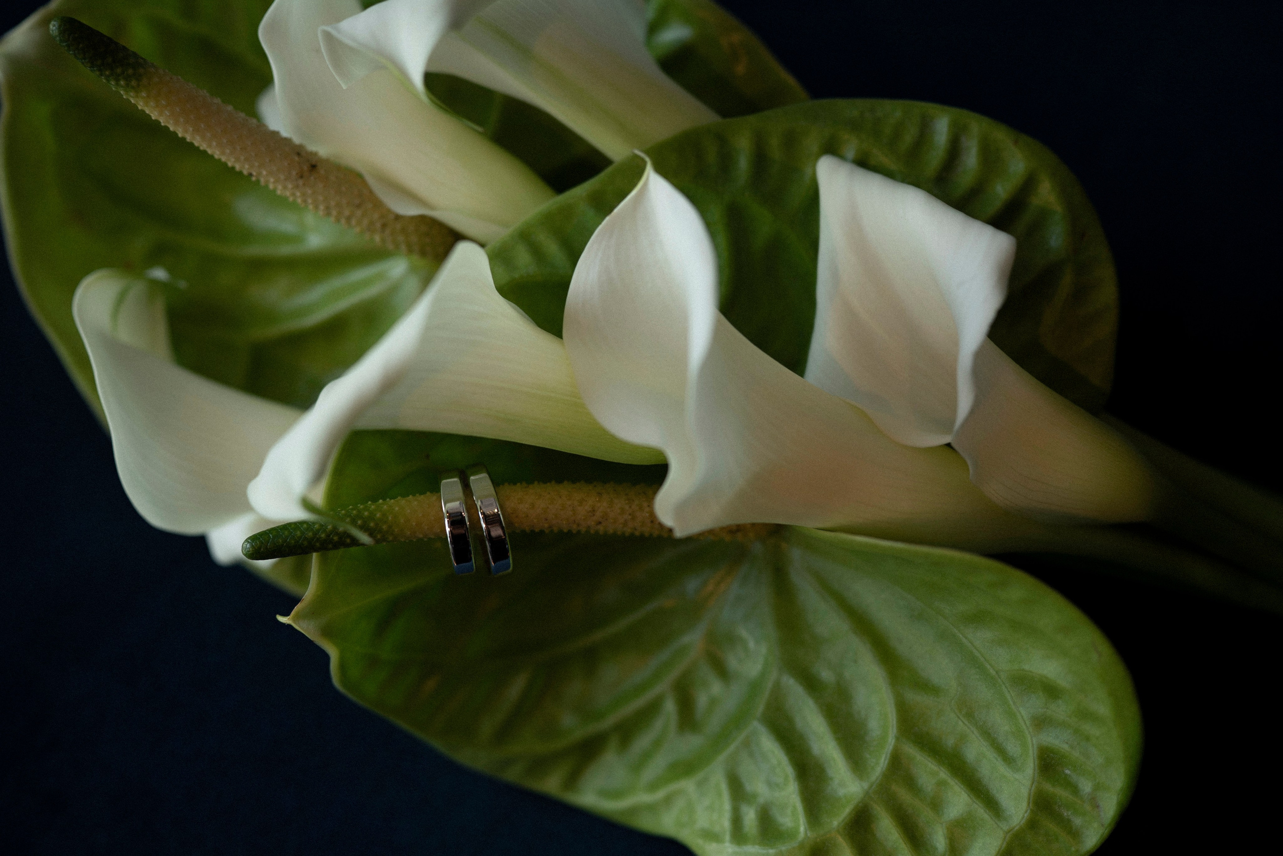 Выше только любовь. Фотограф Евгения Мирошниченко