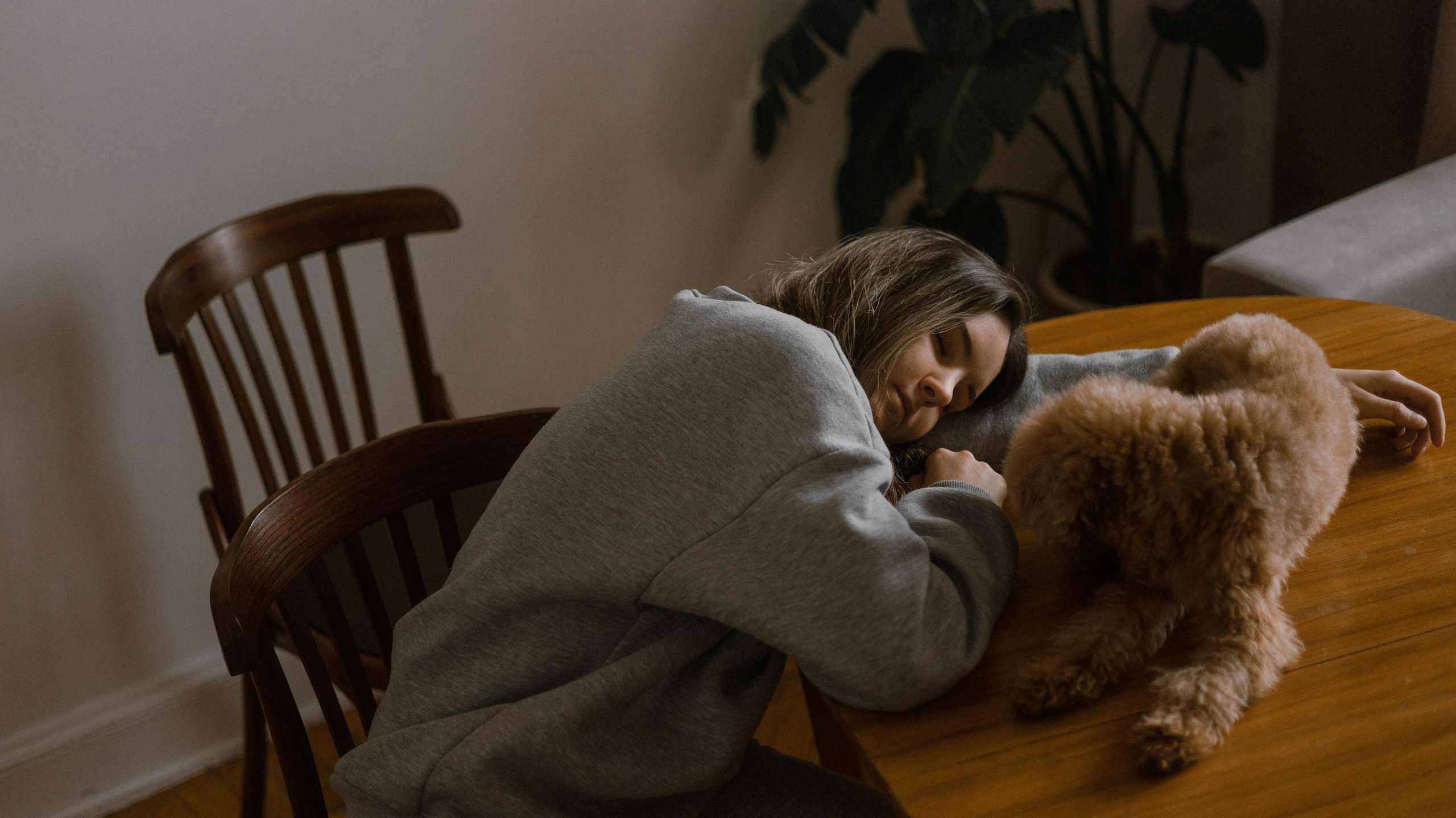 Маша, Одди и Нэвил. Фотограф-анималист Богданова Полина