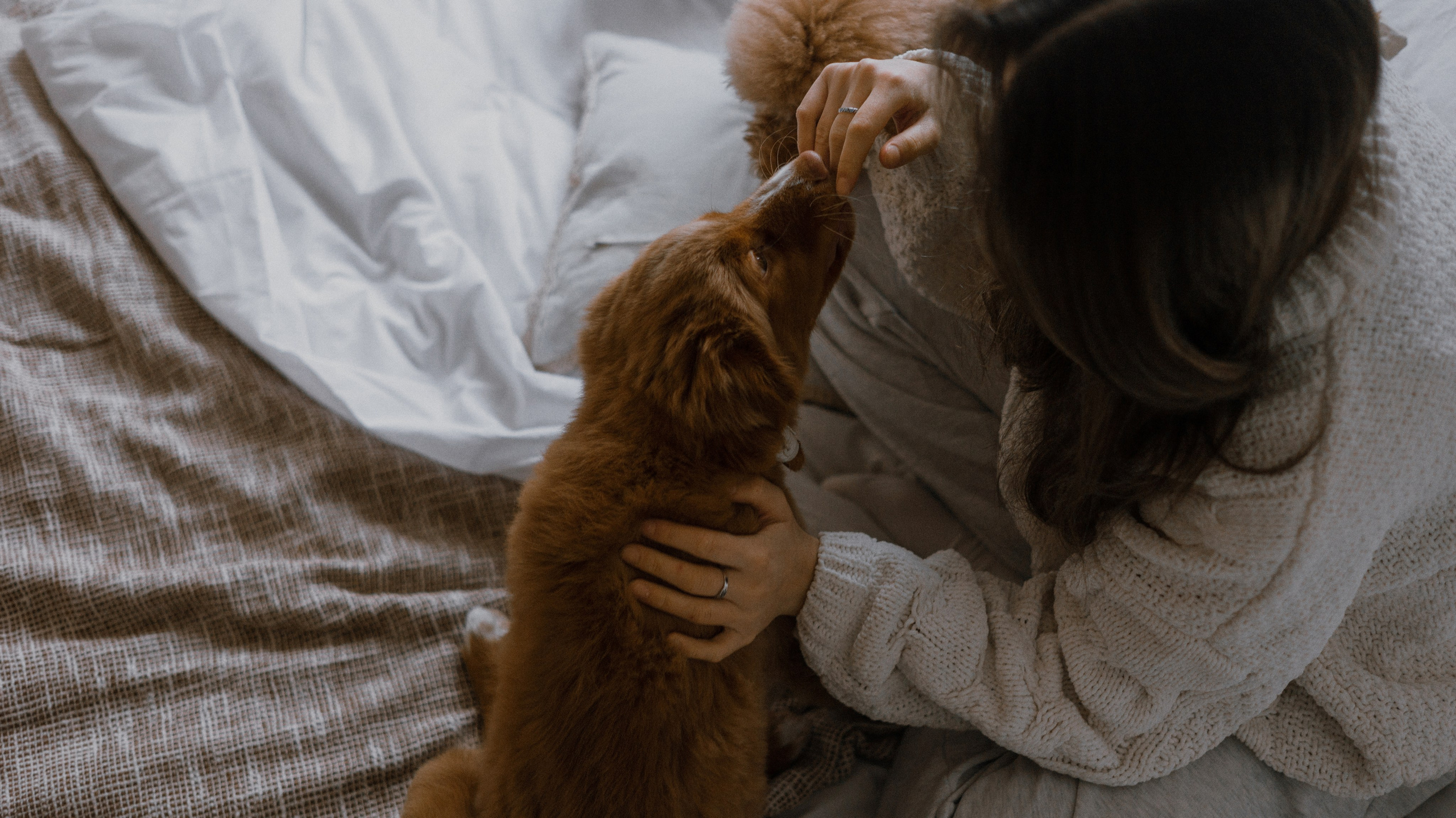 Маша, Одди и Нэвил. Фотограф-анималист Богданова Полина