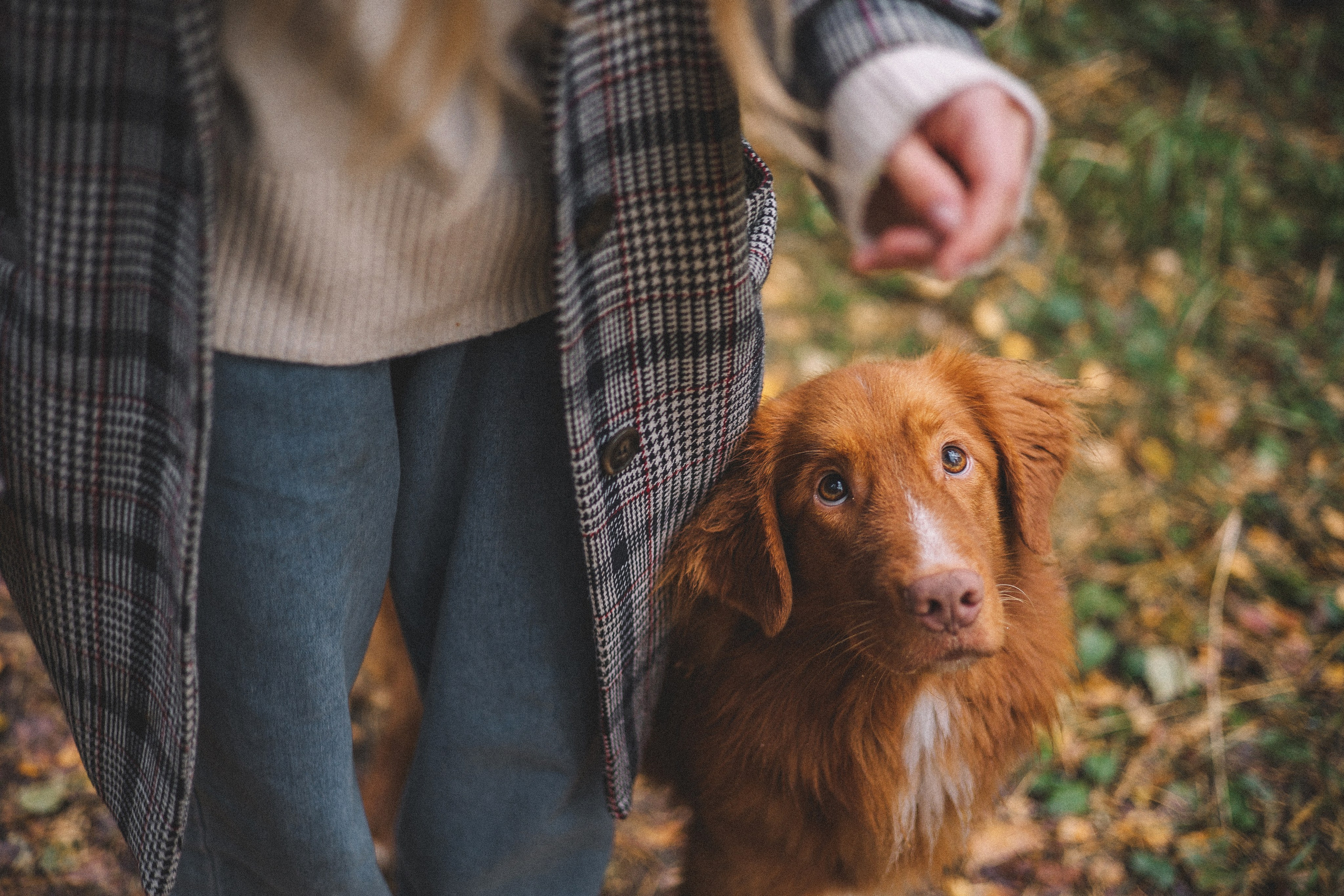 Алина и Бис. Фотограф-анималист Богданова Полина