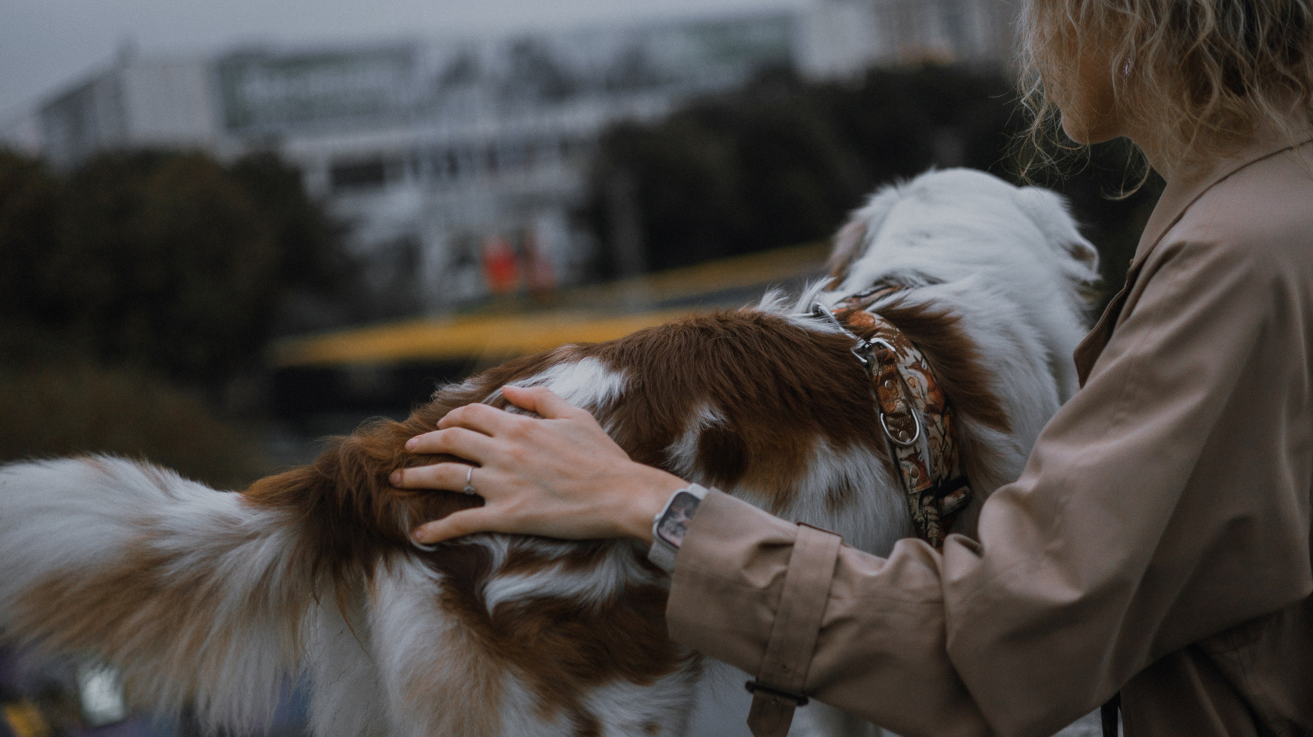 Светлана и Оливия. Фотограф-анималист Богданова Полина