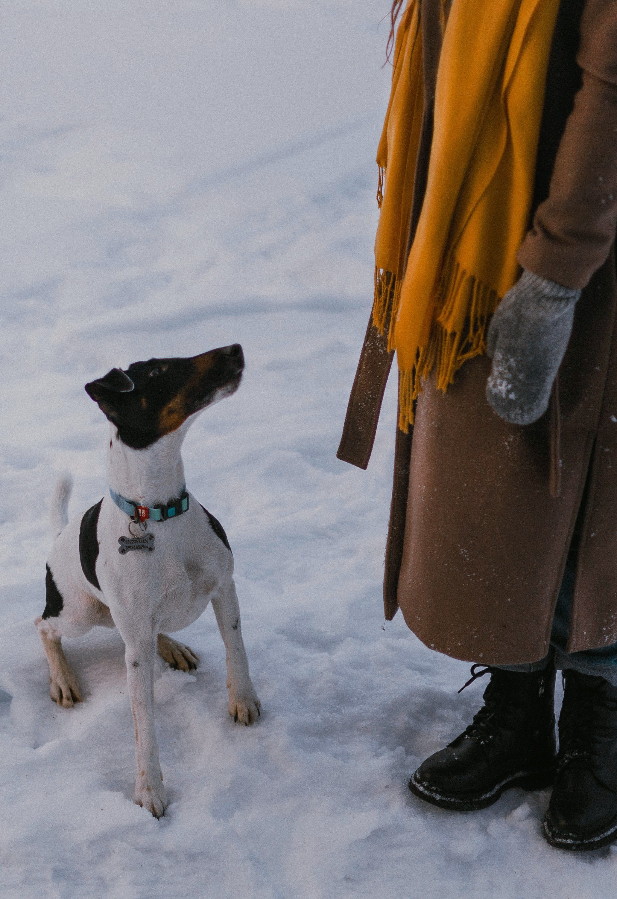Ольга и Сэм. Фотограф-анималист Богданова Полина