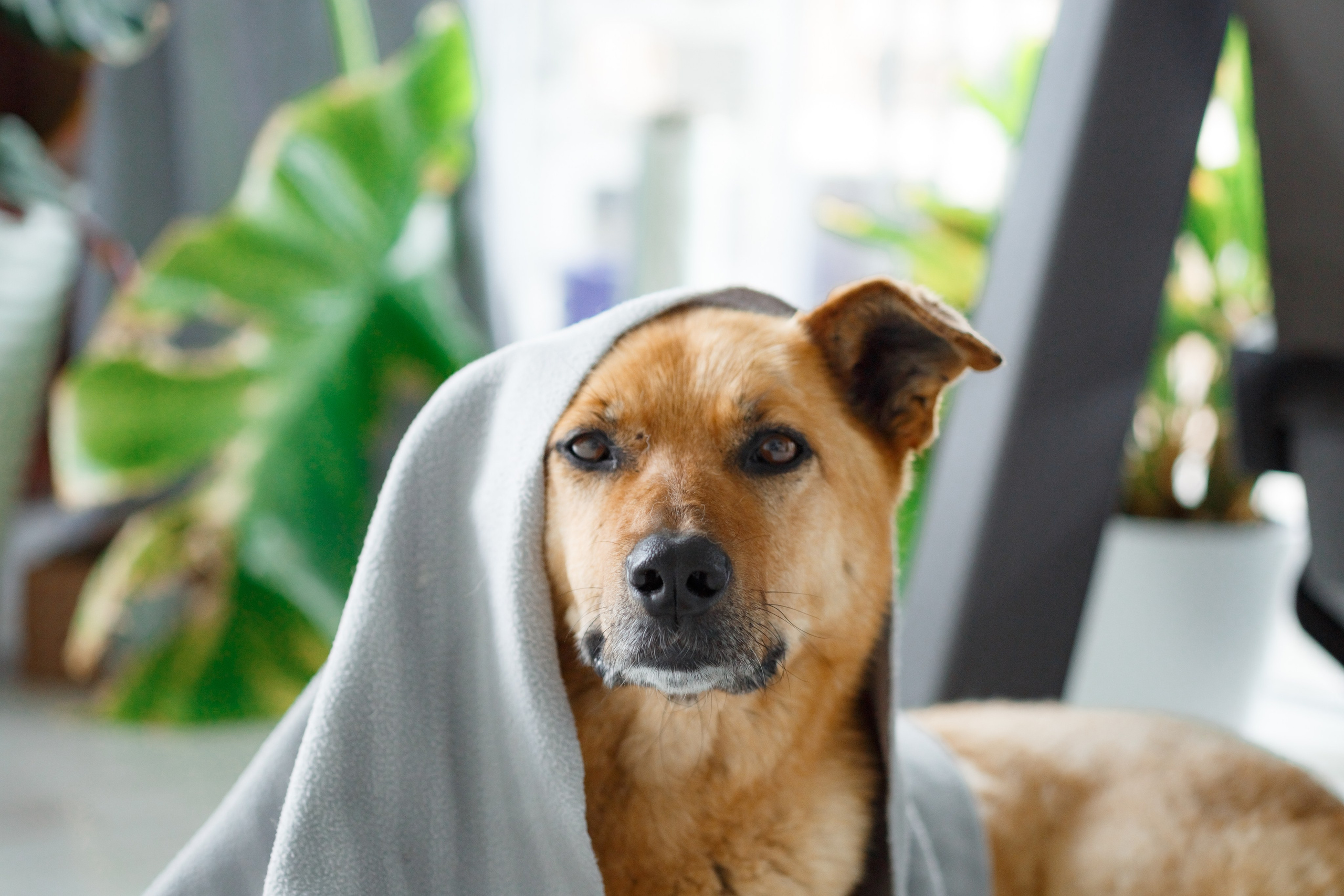Джесси. Семейный фотограф в Екатеринбурге