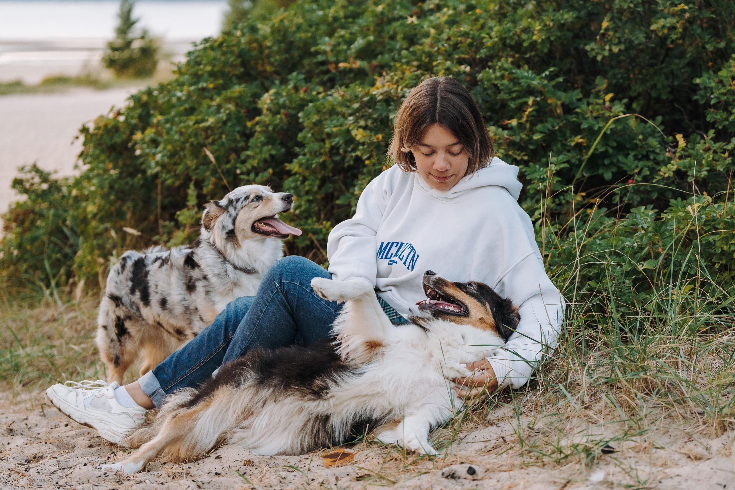 Фотограф анималист в Спб. Фотограф анималист в Спб недорого Олеся Майорова