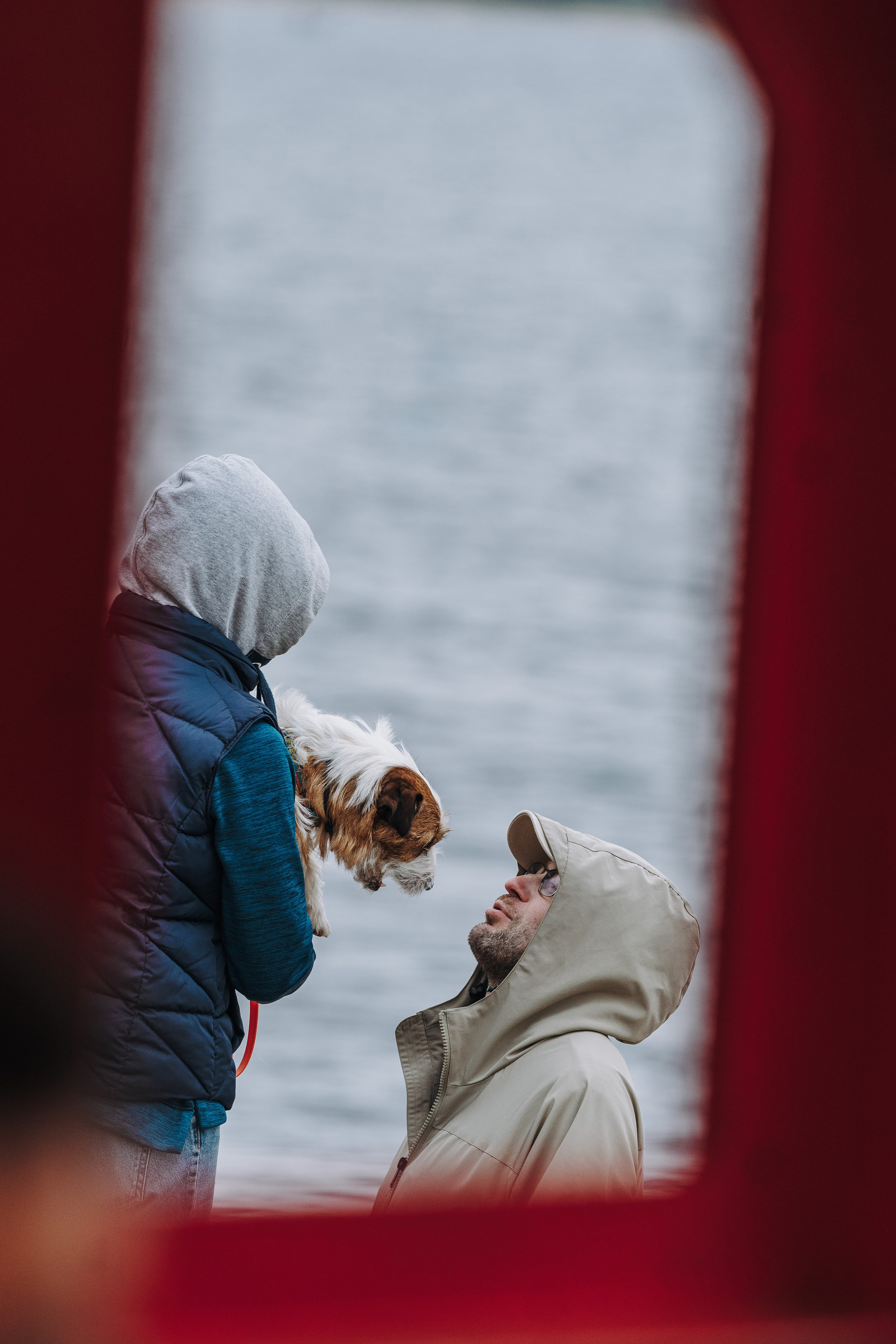 Соревнования по ноузворку в Лосево. Фотограф анималист в Спб недорого Олеся Майорова