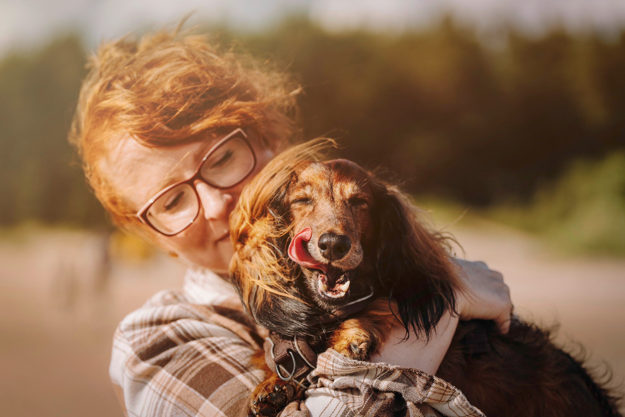 Фотосессия с длиношерстной таксой на пляжн. Фотограф анималист в Спб недорого Олеся Майорова