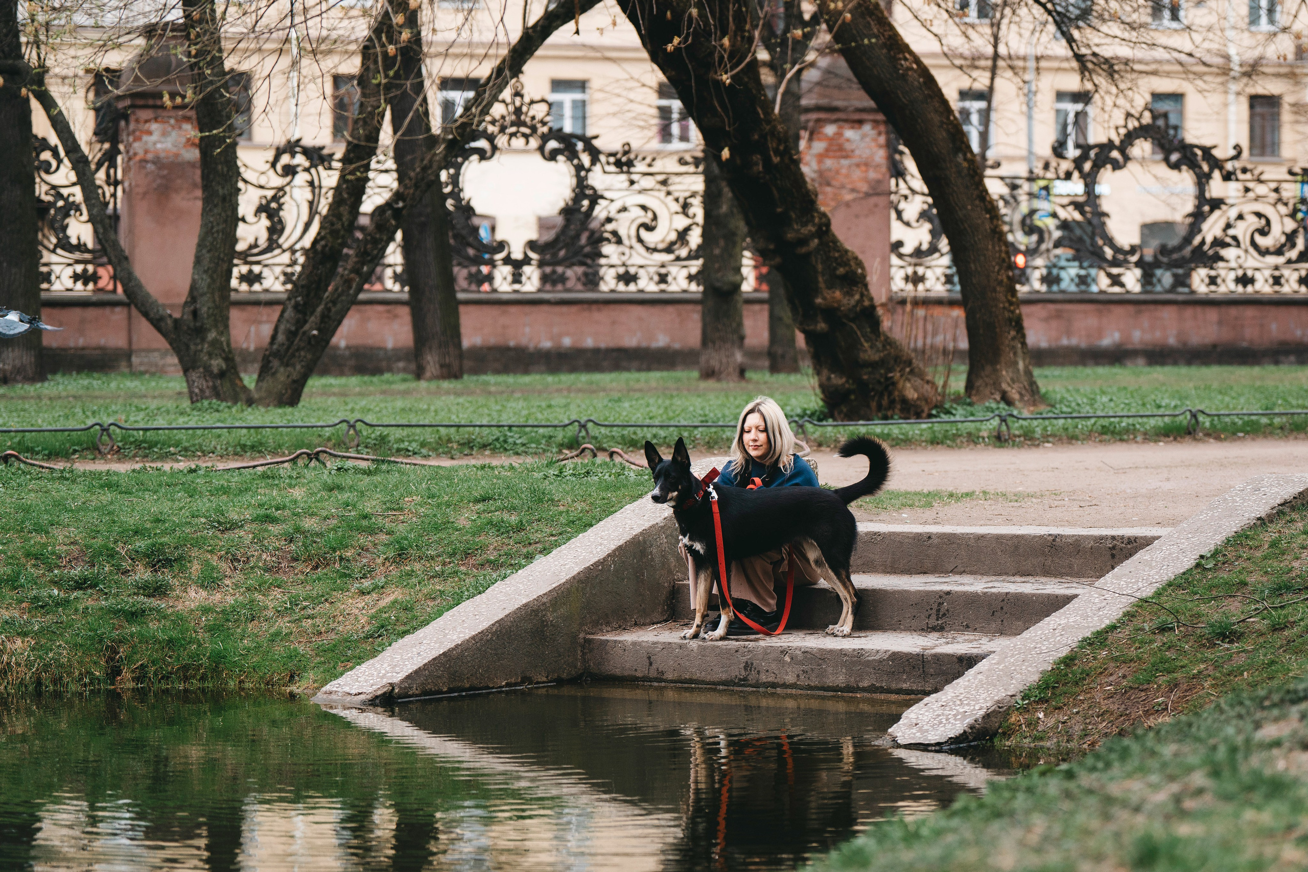 Эля и Шиза. Фотограф анималист в Спб недорого Олеся Майорова