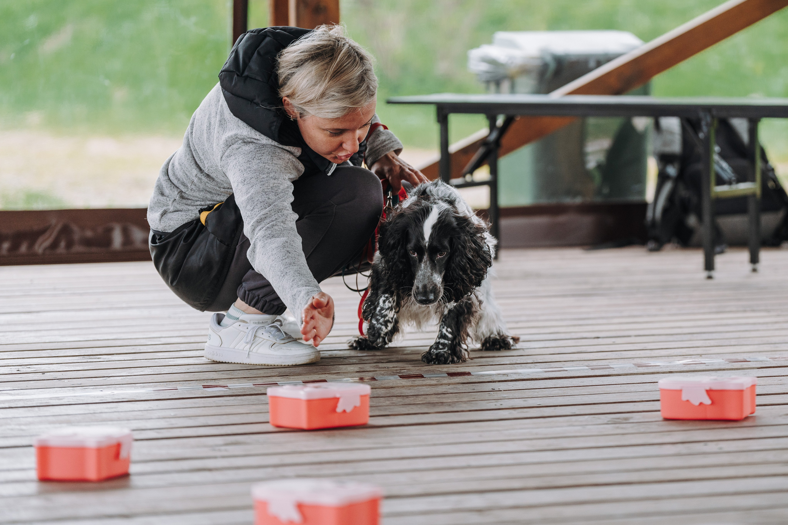 Соревнования по ноузворку в Лосево. Фотограф анималист в Спб недорого Олеся Майорова