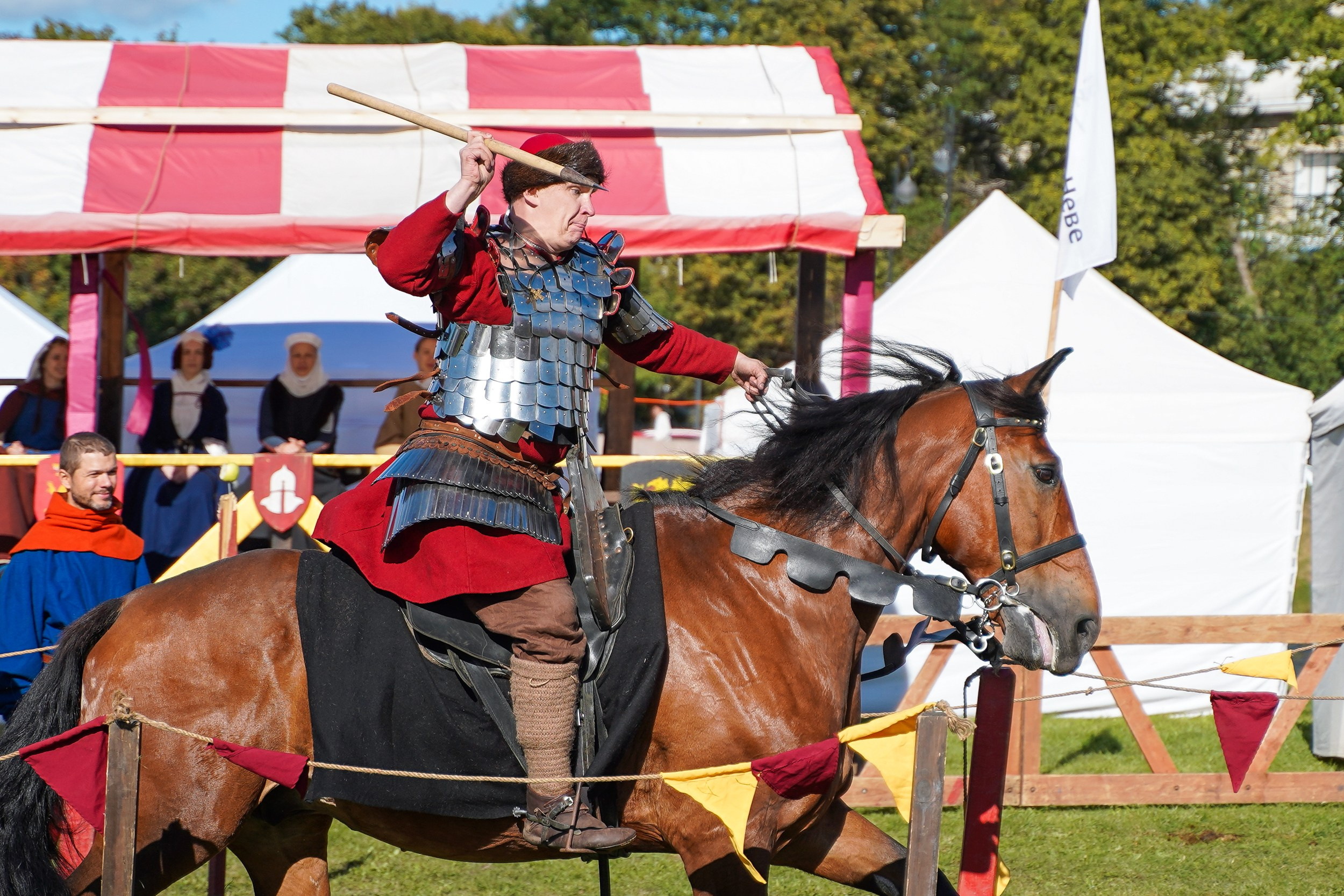 Рыцарский турнир в рамках фестиваля «Битва на Неве» Санкт-Петербург 2024 г. Фотограф-анималист, портретный фотограф в Чебоксарах Мария Садыкова
