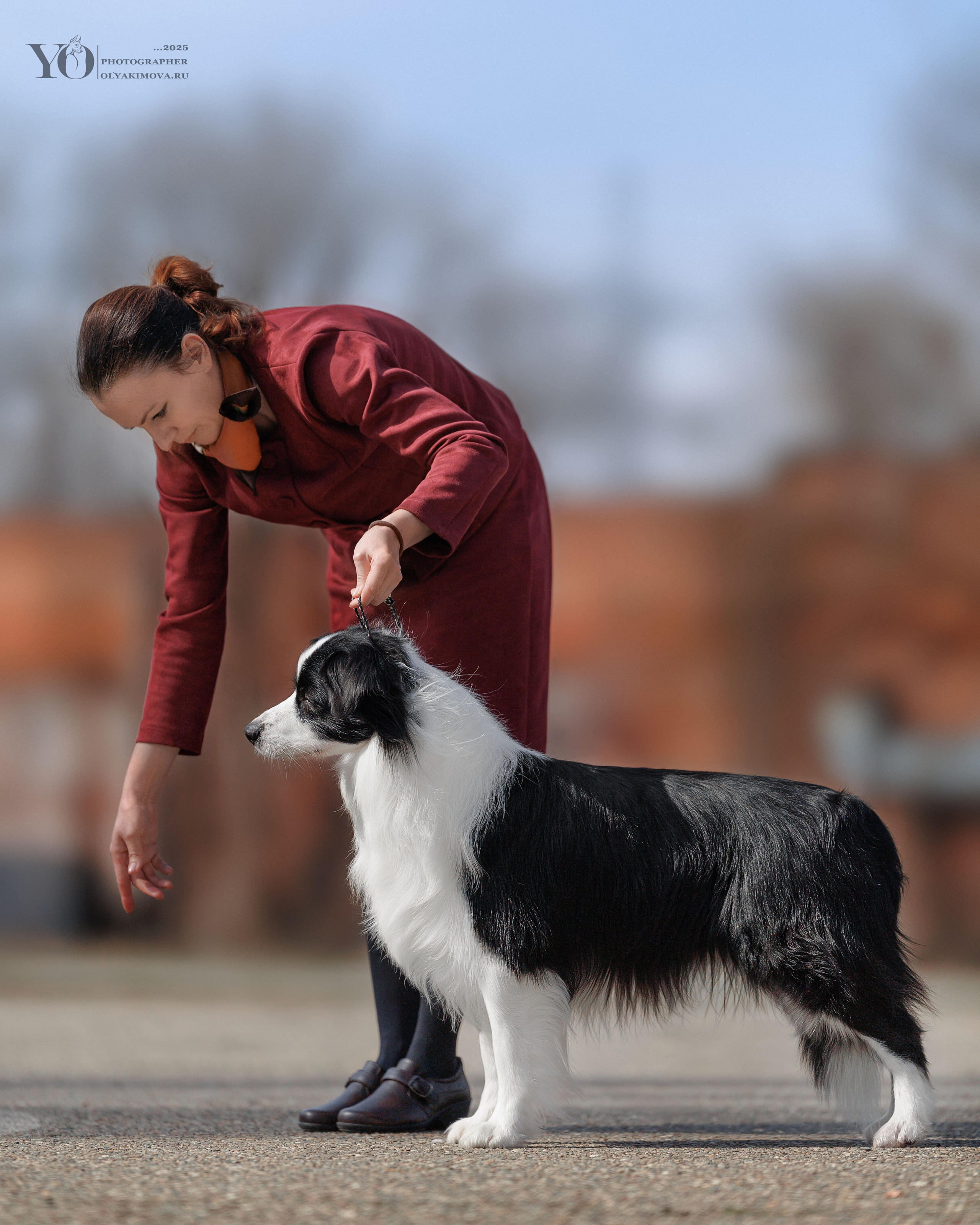 Экстерьер. Фотограф