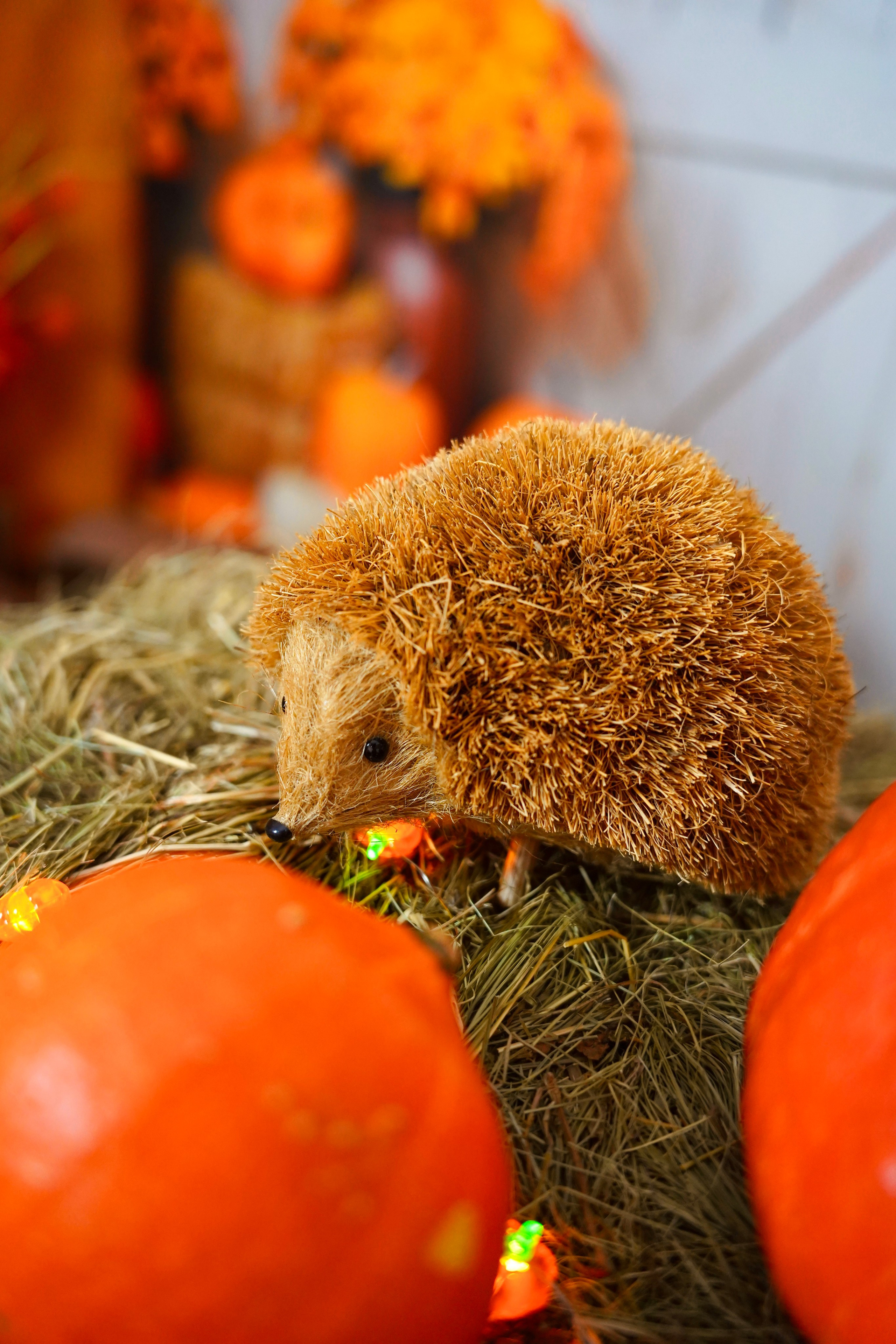 Осенний фотопроект № 5. Семейный и детский фотограф Александра Гвоздикова
