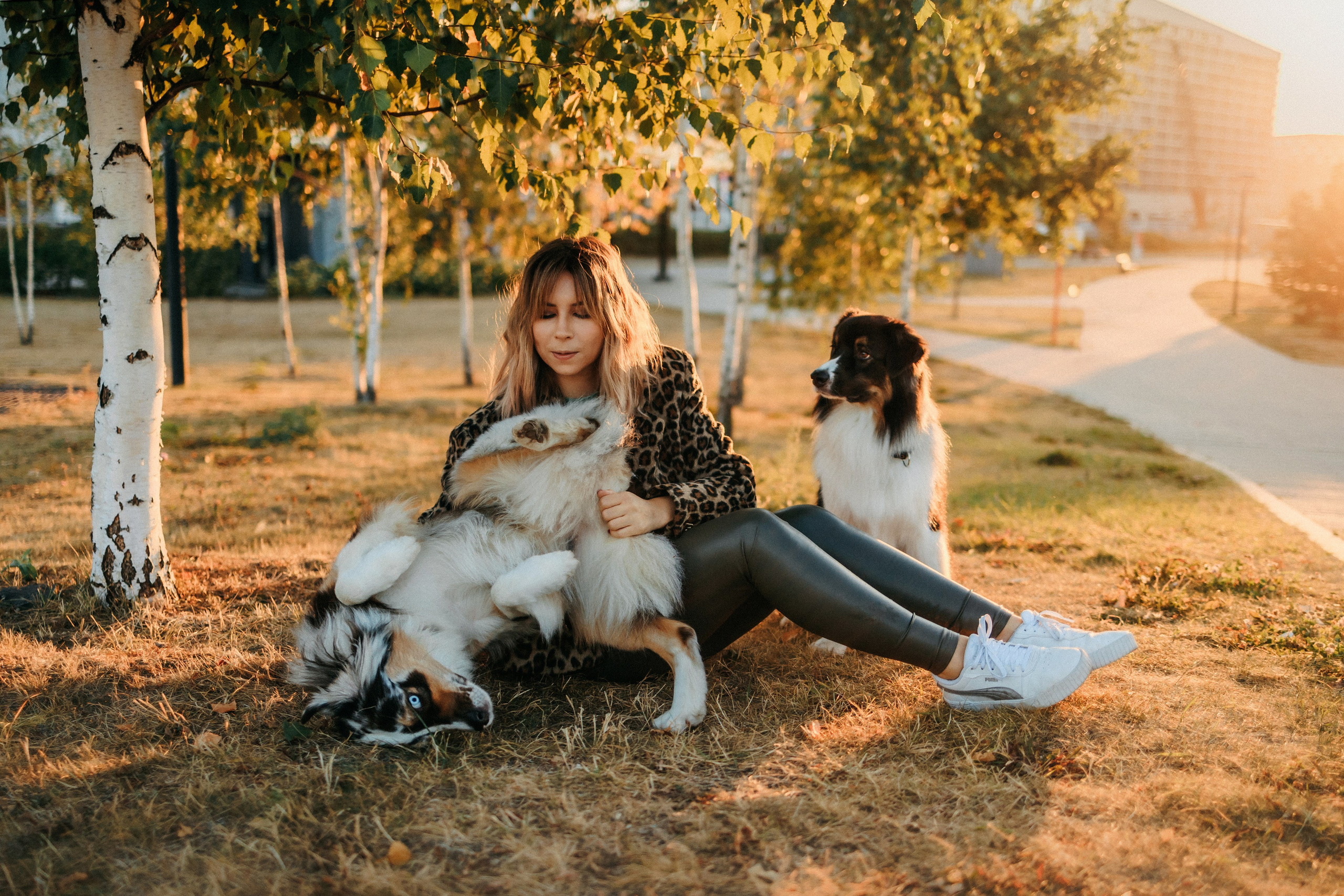 Аня, Чарли и Ева. Фотограф-анималист Елена Радченко, Москва