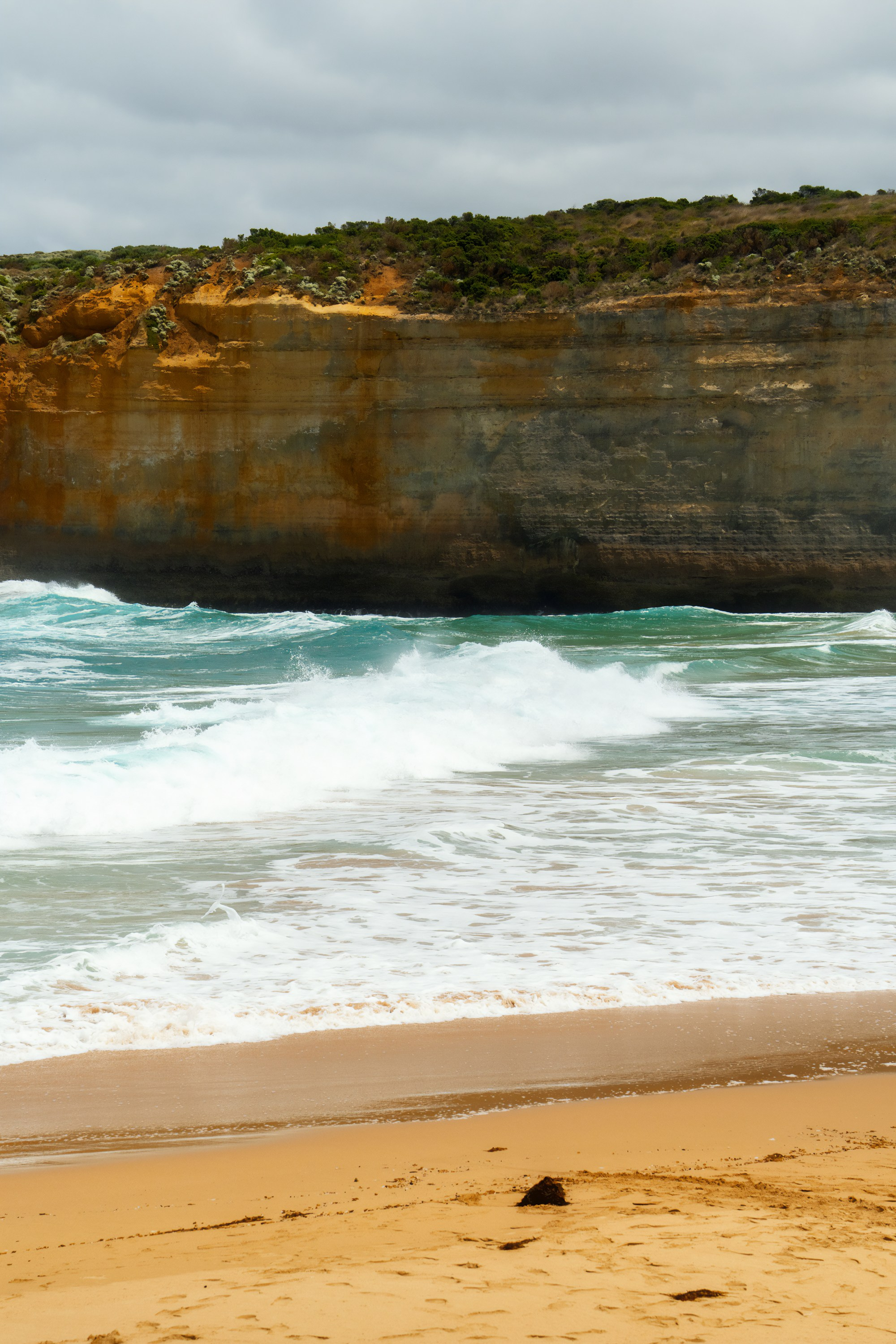 Австралия. Фотограф в Хабаровске. Фотография за 24 часа