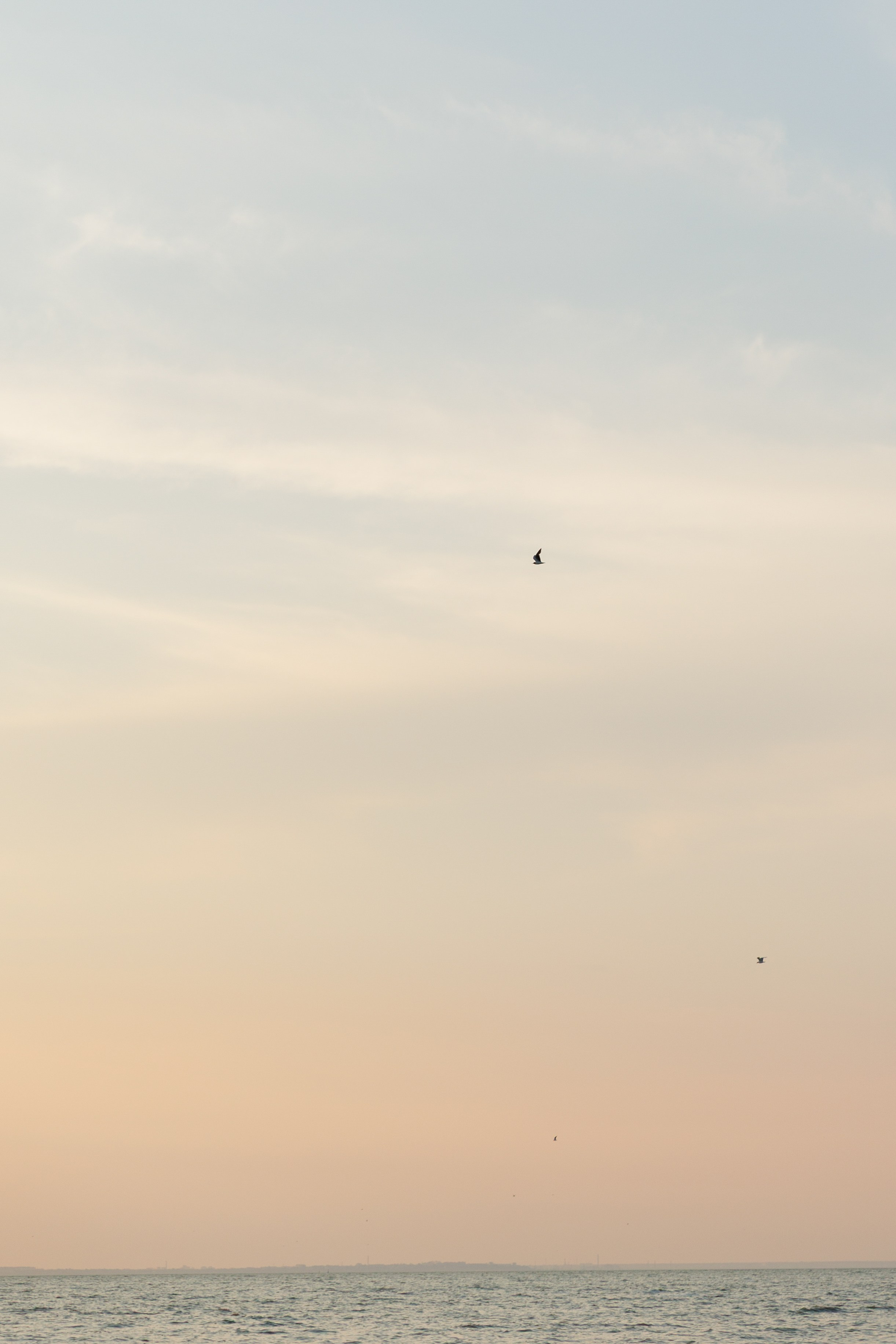 Я, ТЫ, МОРЕ!. Свадебный фотограф в Ростове-на-Дону Базарова Анастасия