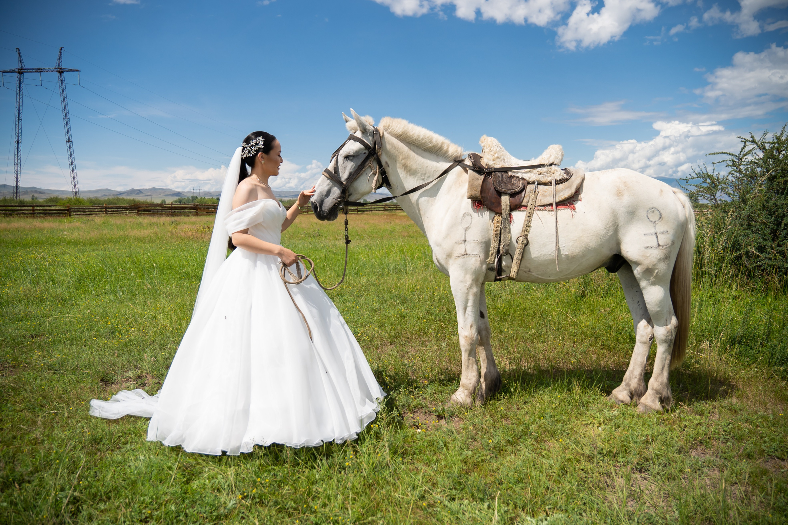 Свадьбы 2024. SHUDE TUVA — фотограф и видеограф в Кызыле