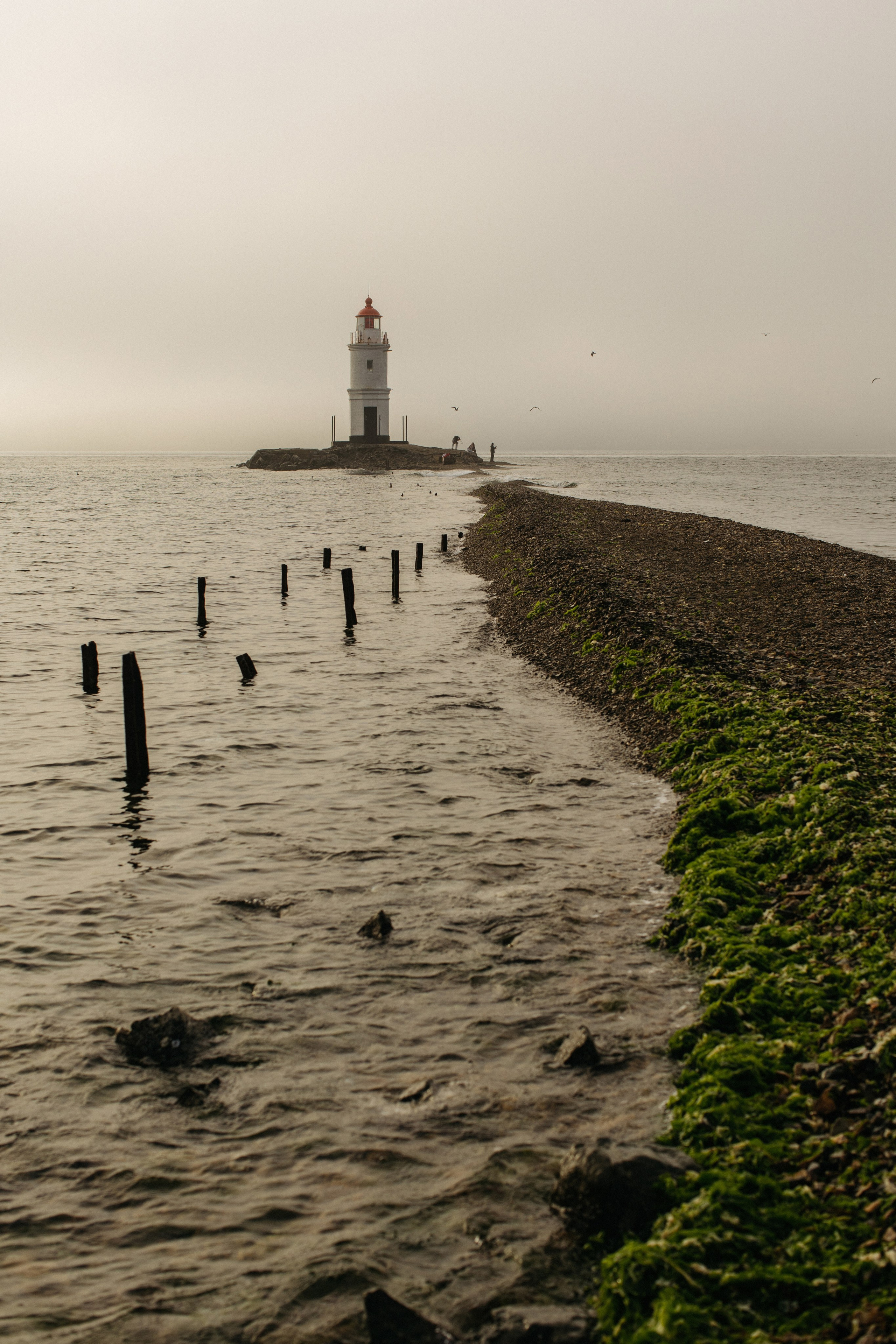 КАРИНА КОКС. Wedding and family photographer in Vladivostok Anton Blokhin