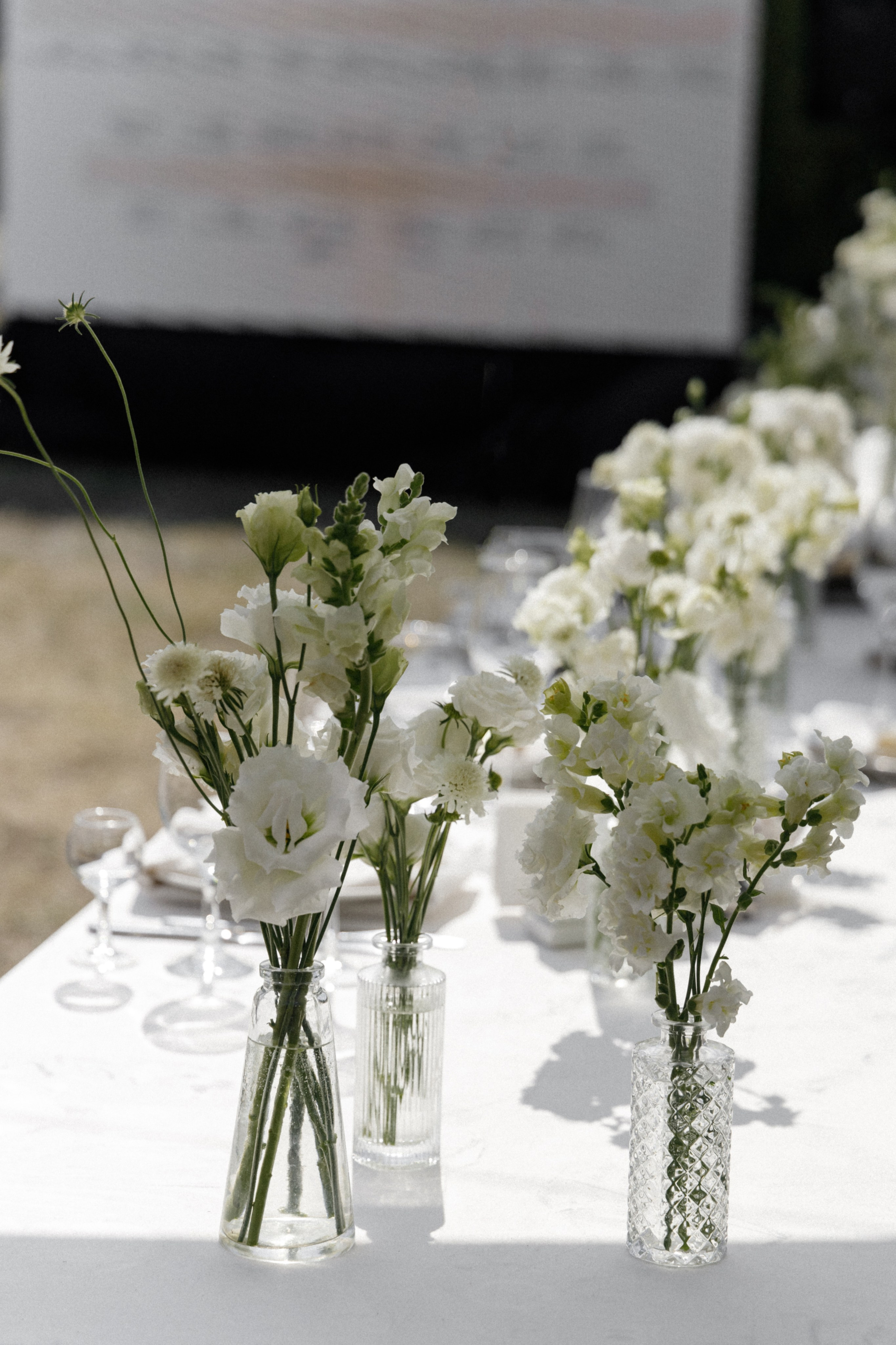 Станислав и Анастасия. Свадебный организатор в Тольятти | Самаре