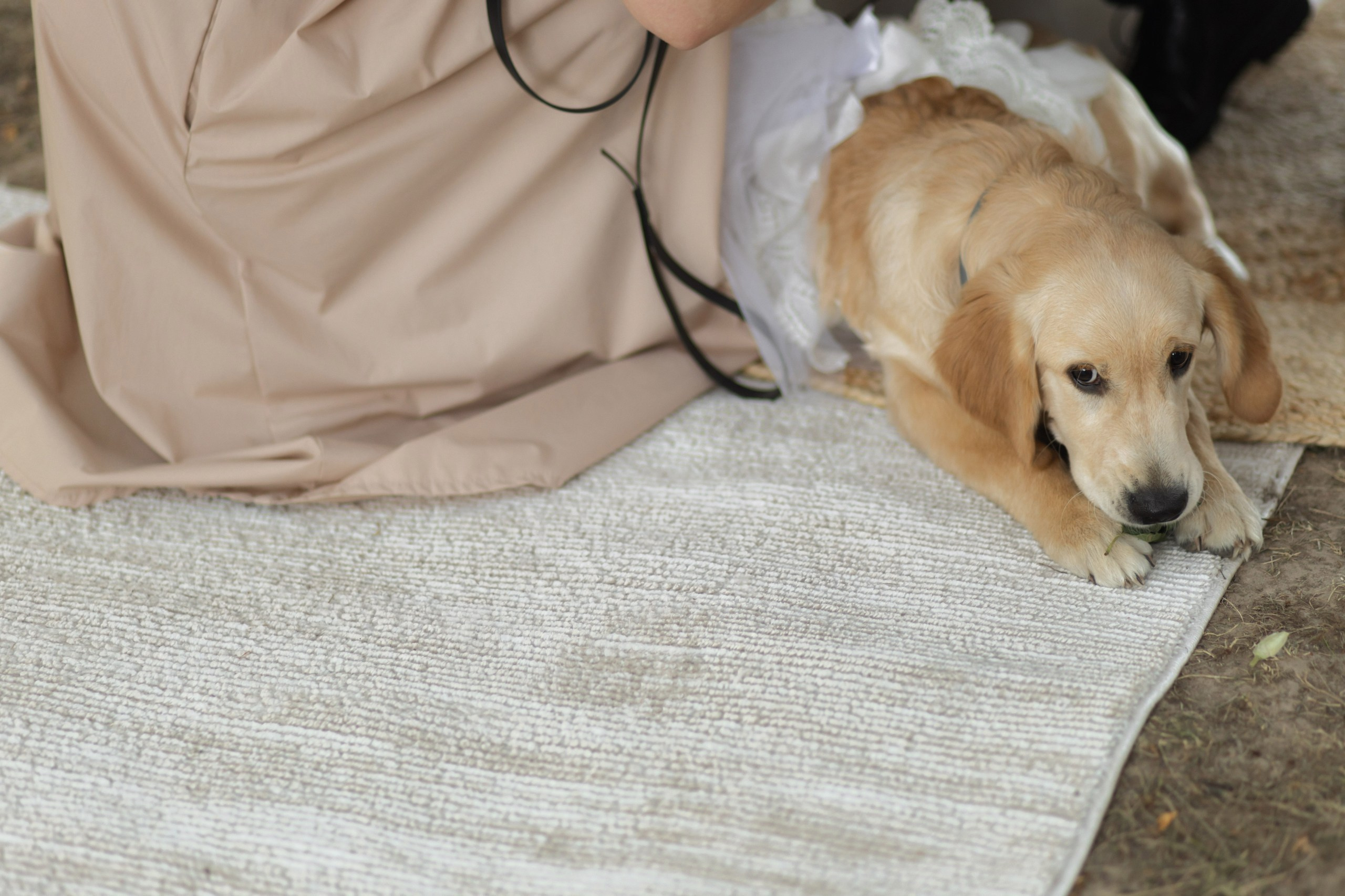 Илья и Анна. Профессиональная видео и фото съёмка в Калуге и области