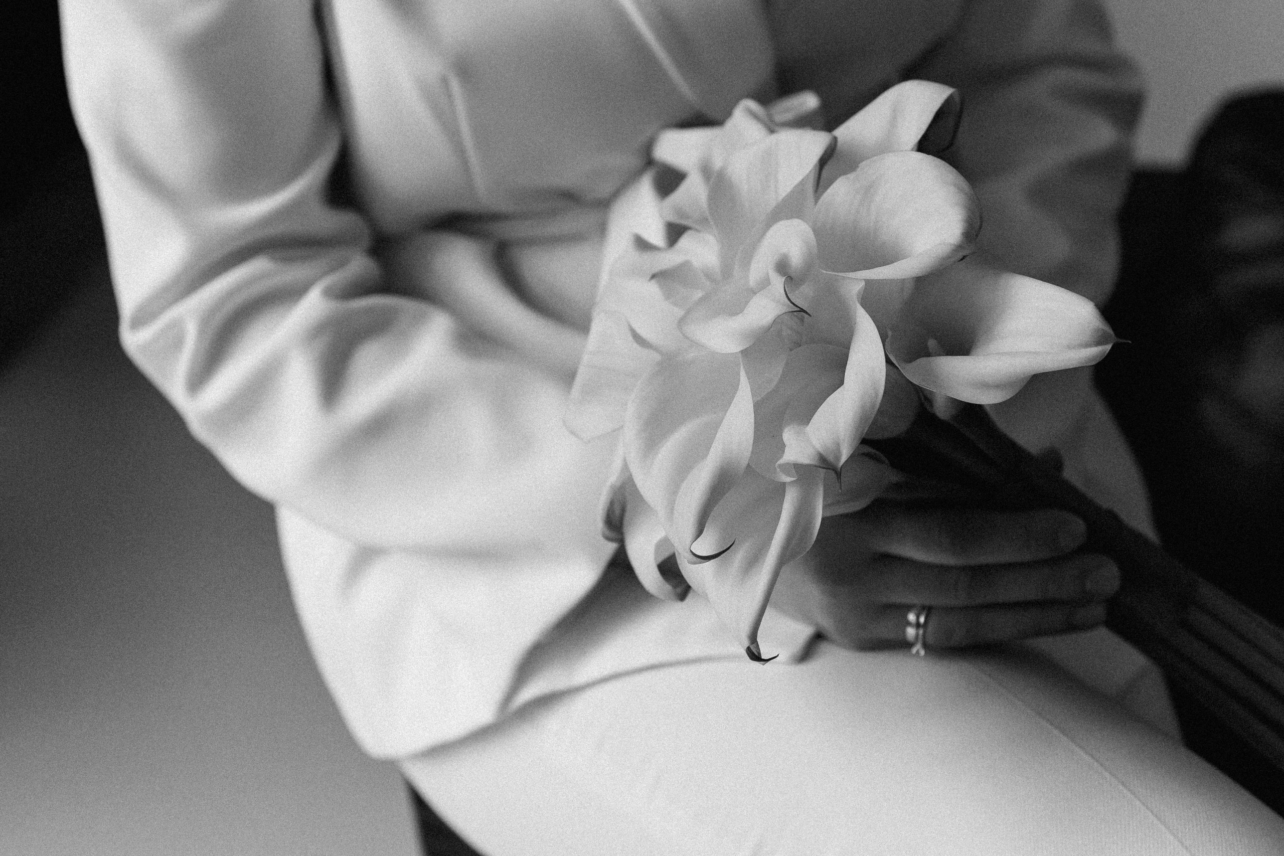 Полина & Константин. Свадебный и портретный фотограф Соломко Диана