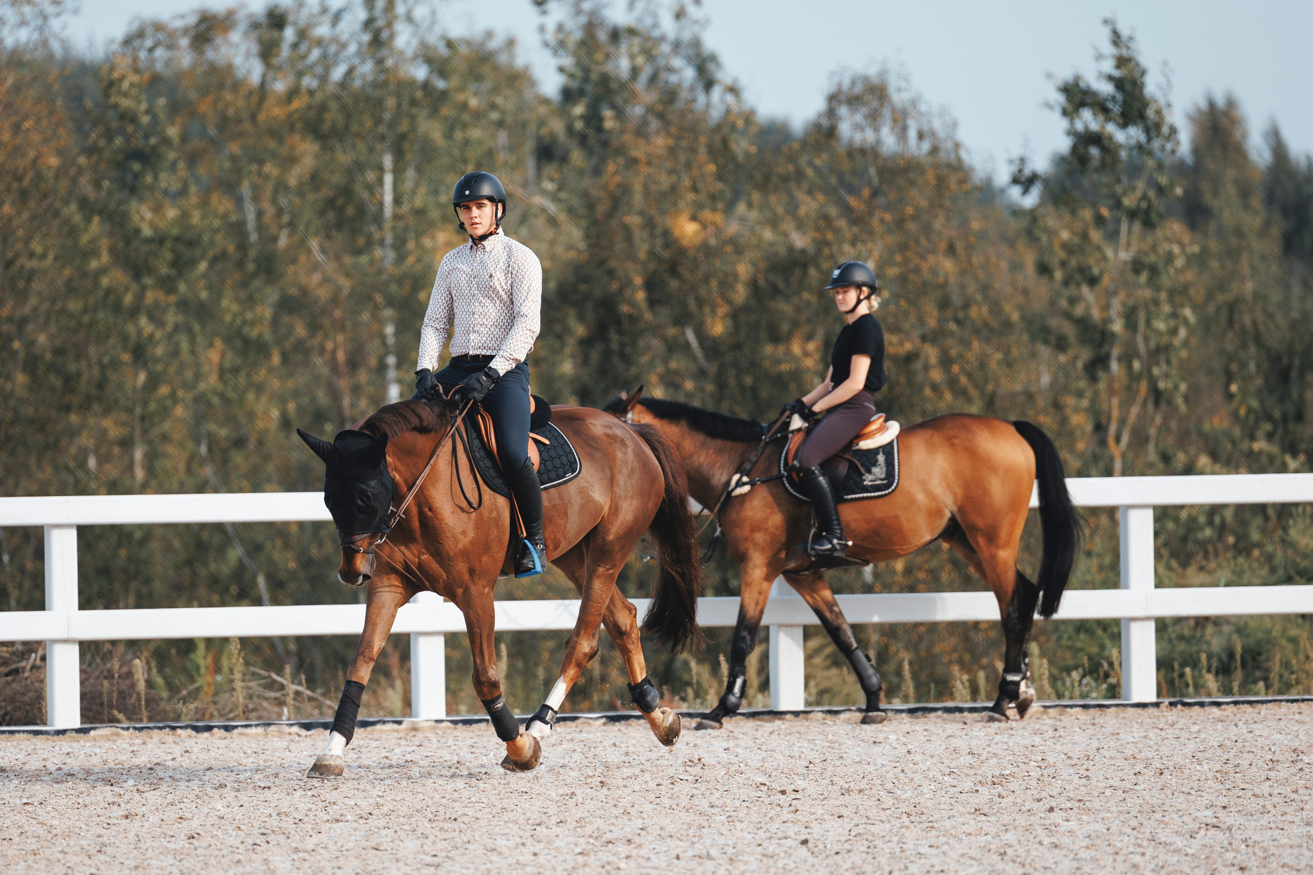 Конкур. Фотограф-анималист Анна Маринич