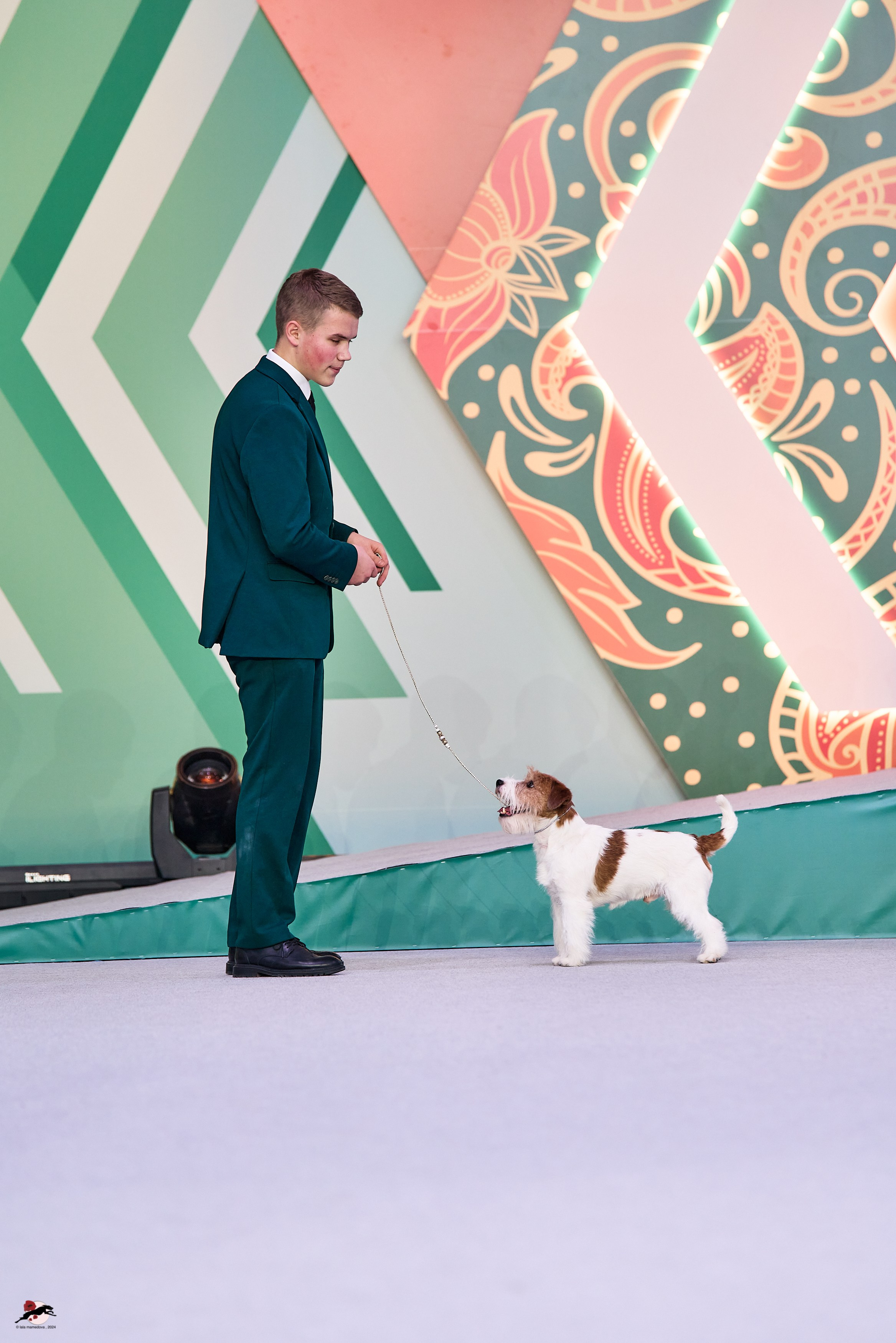 17.11.2024 «ЕВРАЗИЯ. КУБОК СНГ 2024»