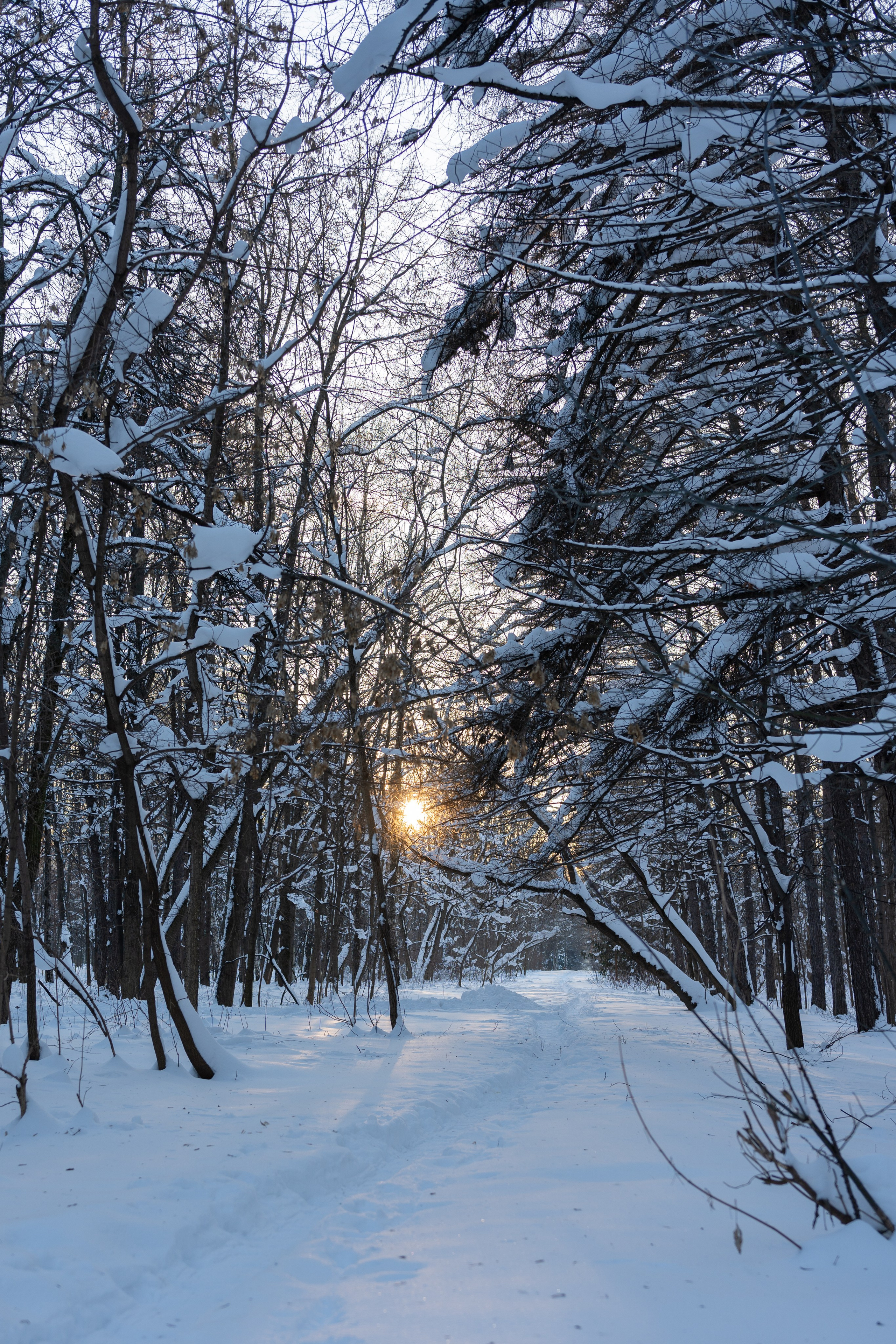 20260118 МГУ. Дмитрий Ремизов. Фотография, как хобби
