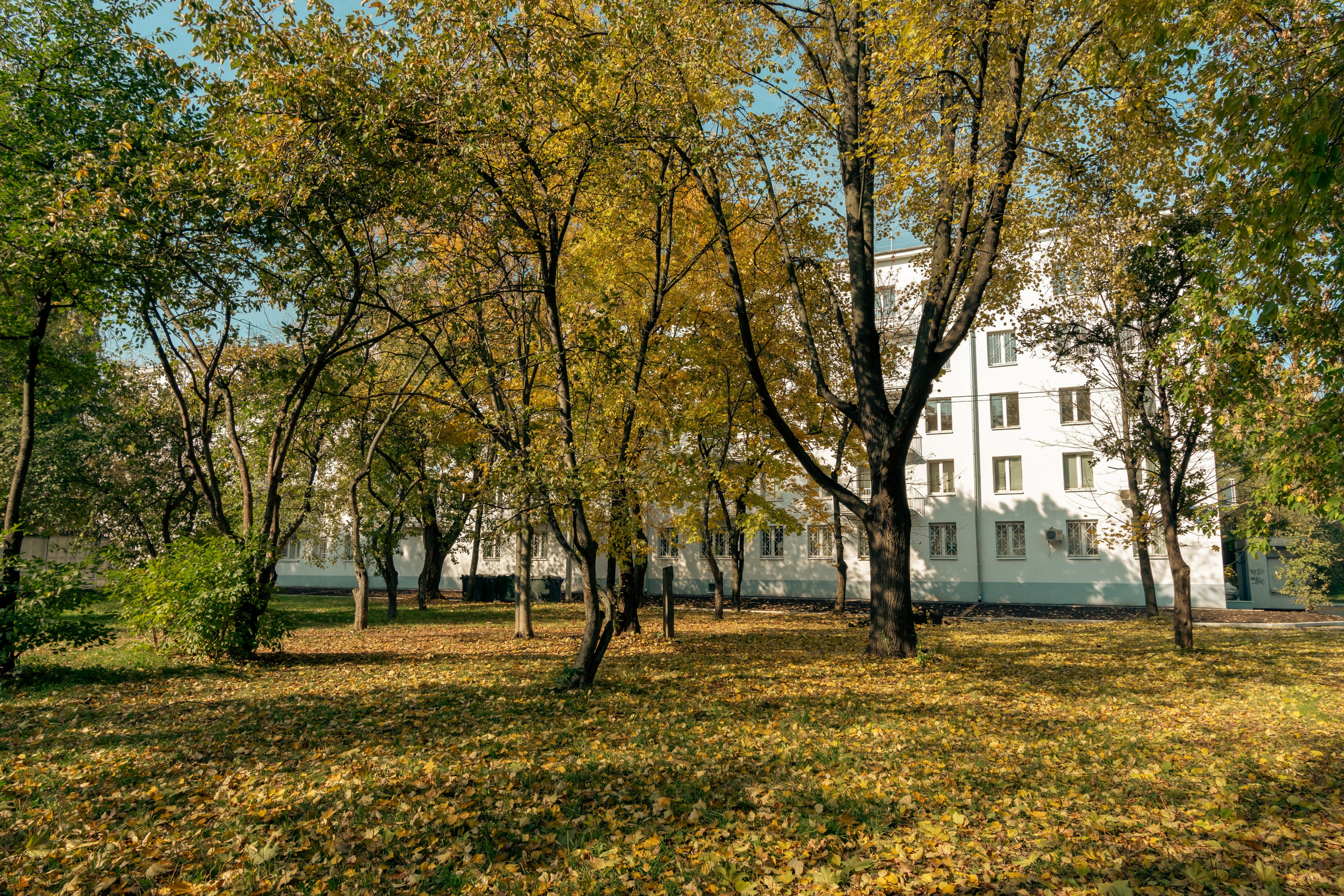 20211003 Поклонка. Дмитрий Ремизов. Фотография, как хобби