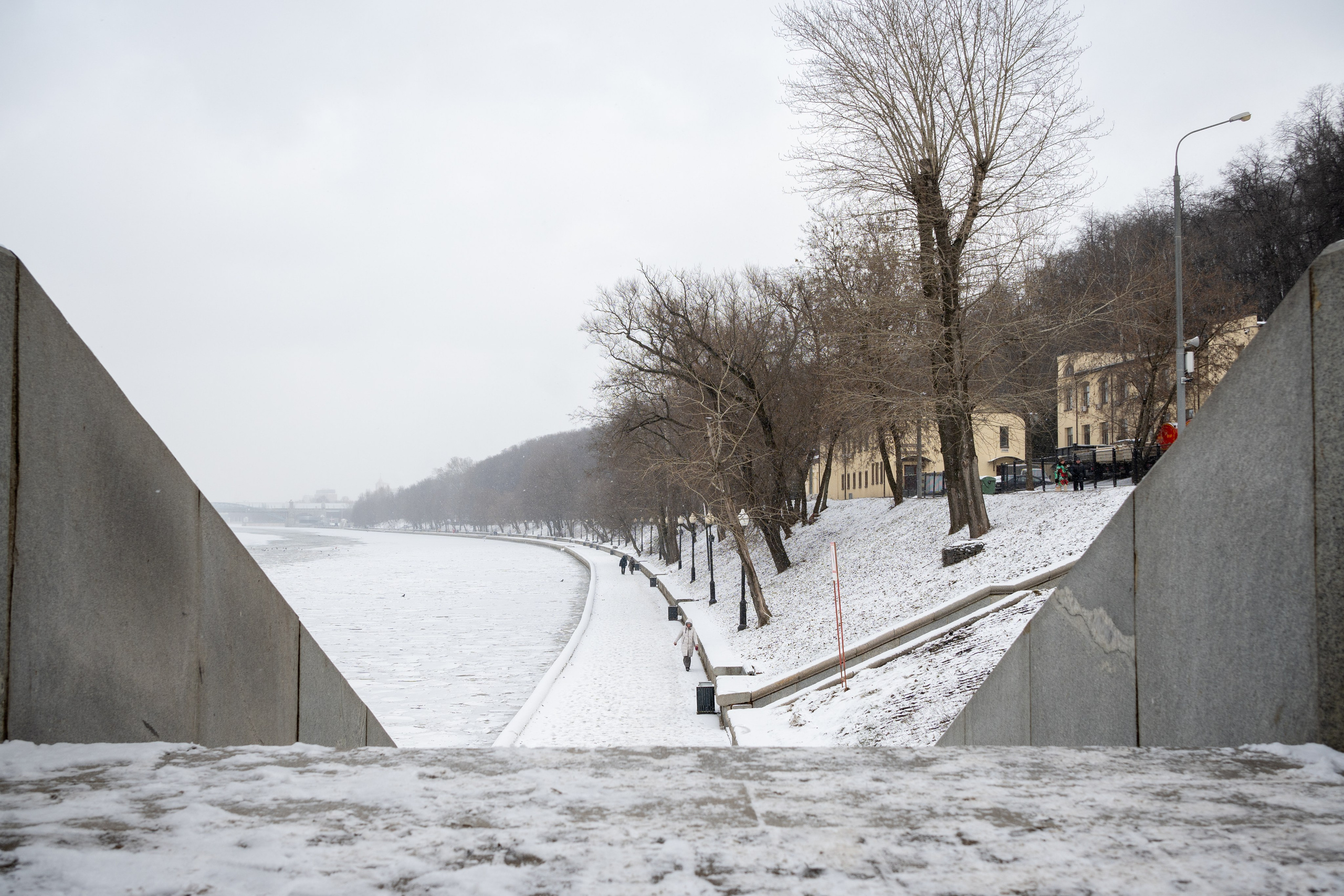 20250216 Нескучный сад. Дмитрий Ремизов. Фотография, как хобби