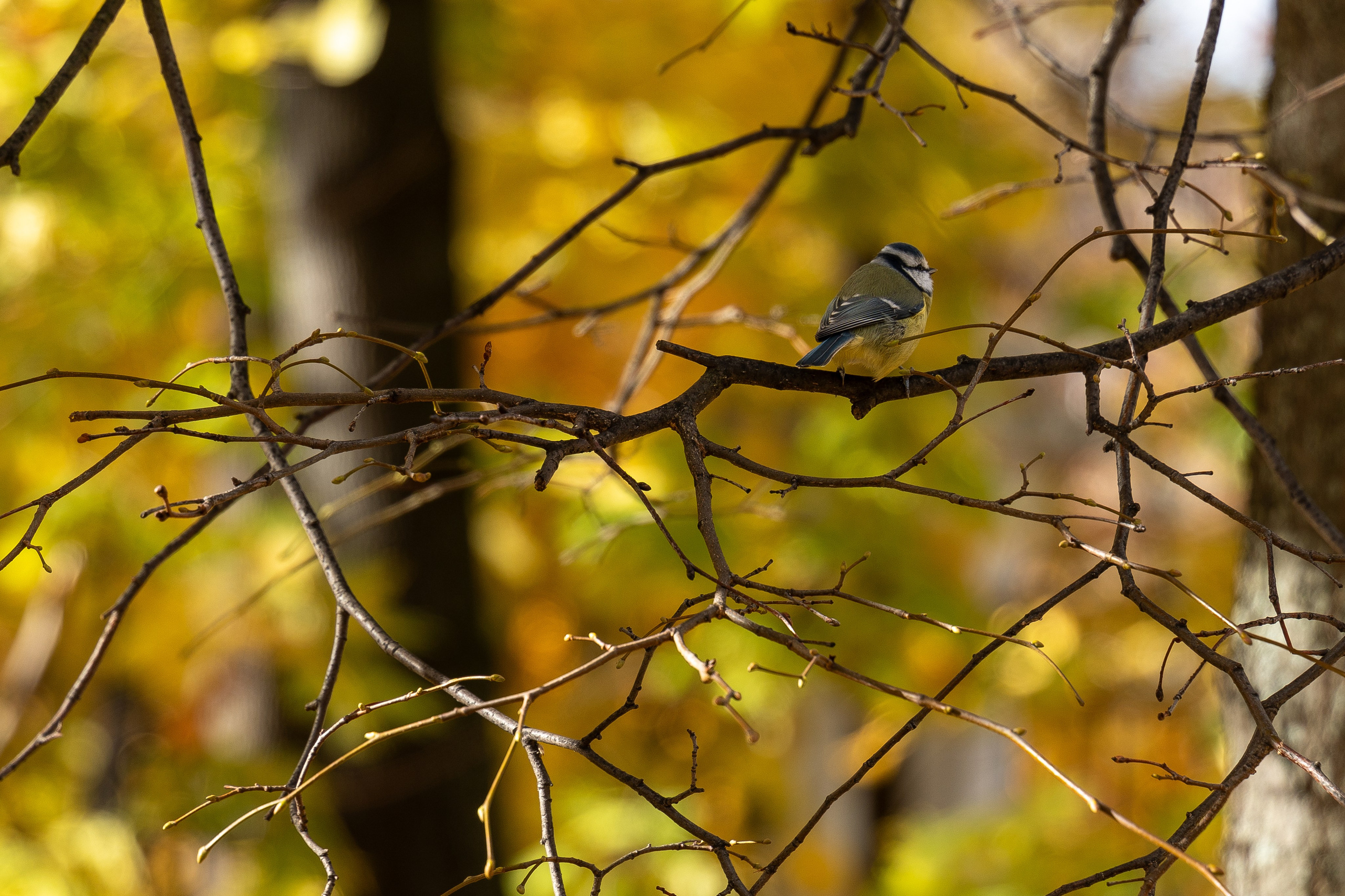 20251012 МГУ. Дмитрий Ремизов. Фотография, как хобби