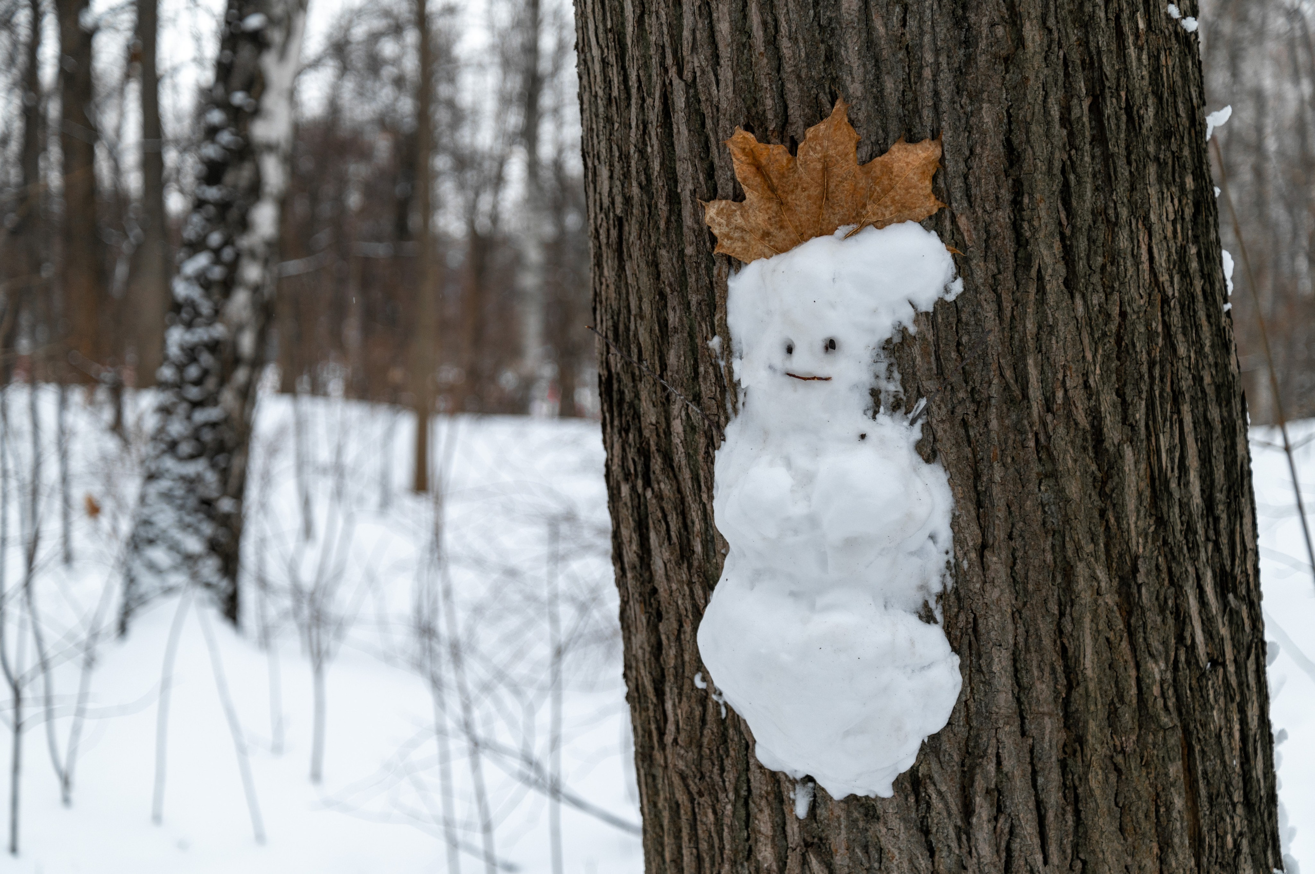 20230305 Воробьёвы и Лужники. Дмитрий Ремизов. Фотография, как хобби