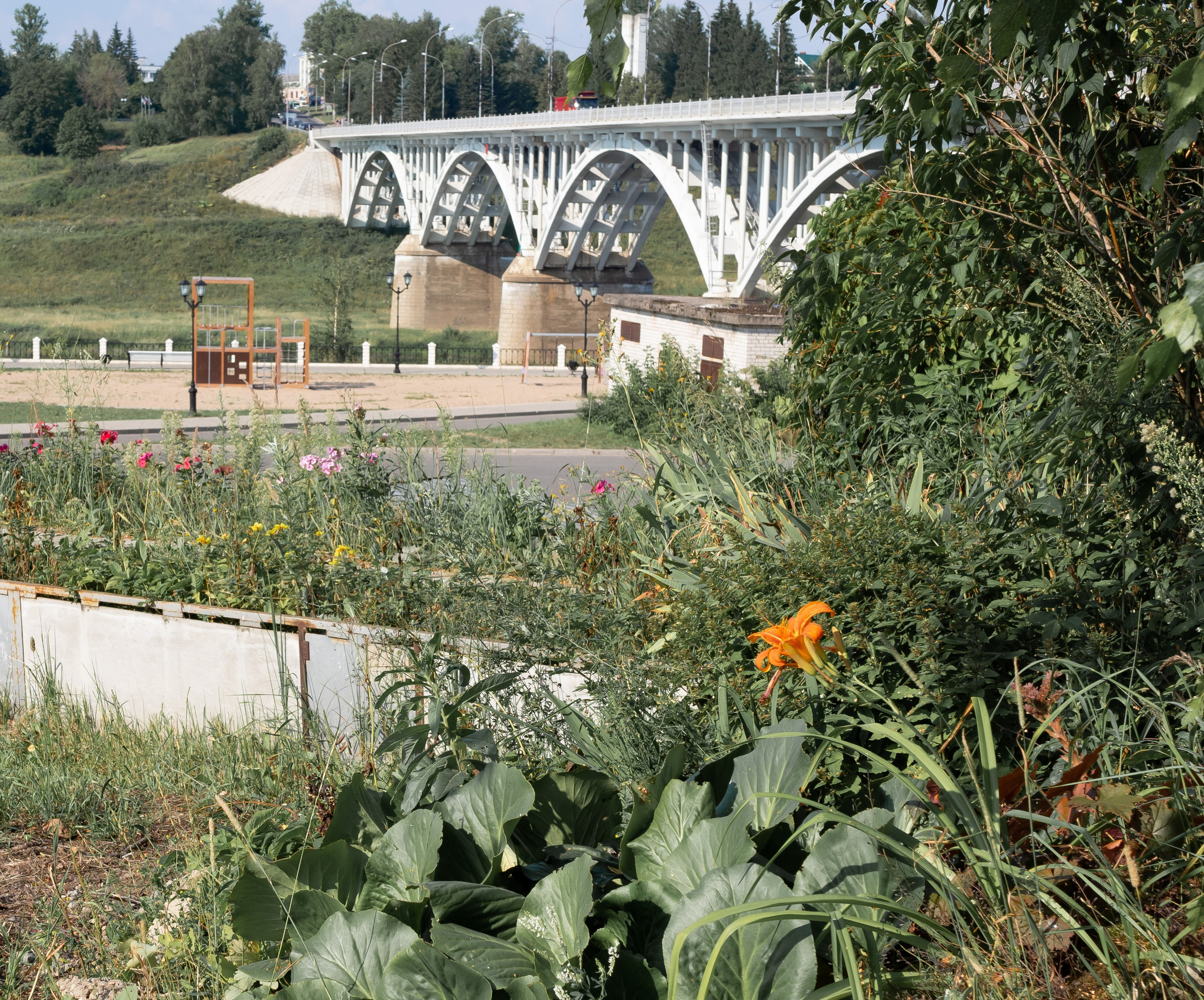 20220805 Старица и Тверь. Дмитрий Ремизов. Фотография, как хобби