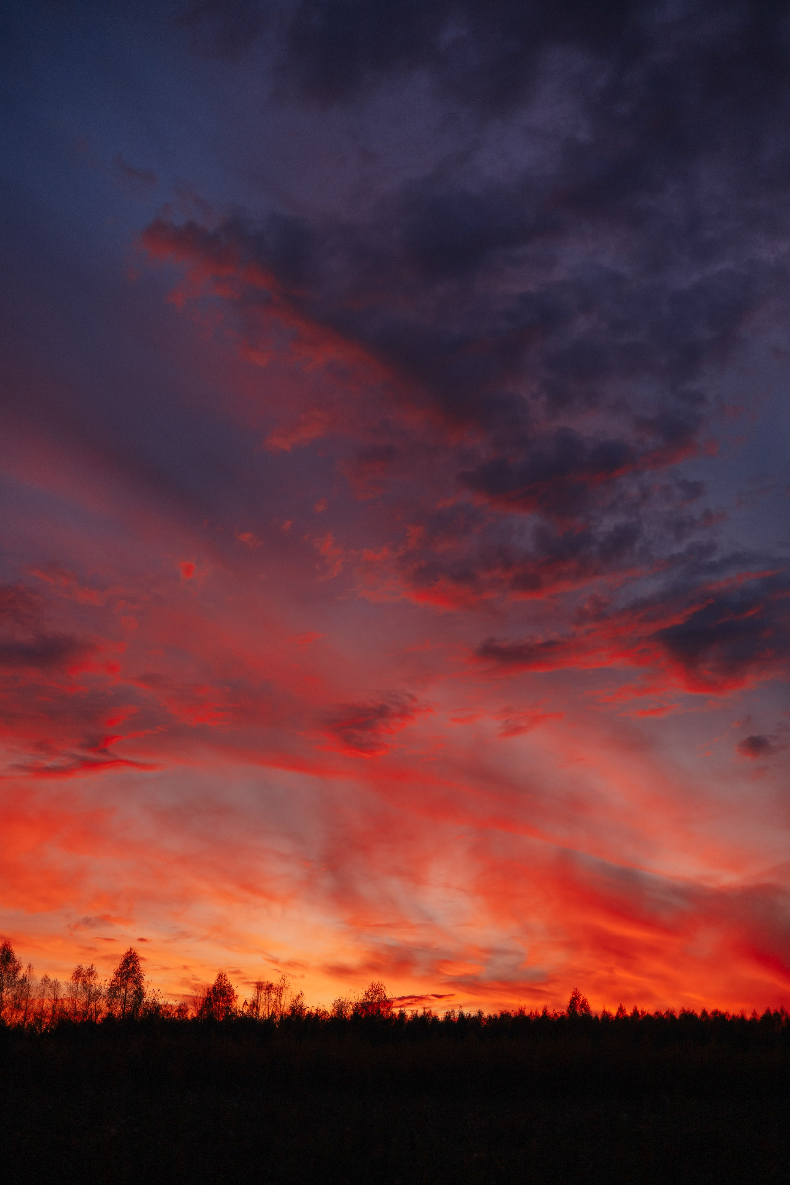 Последний вдох осени. Фотограф в Кемерово Анастасия