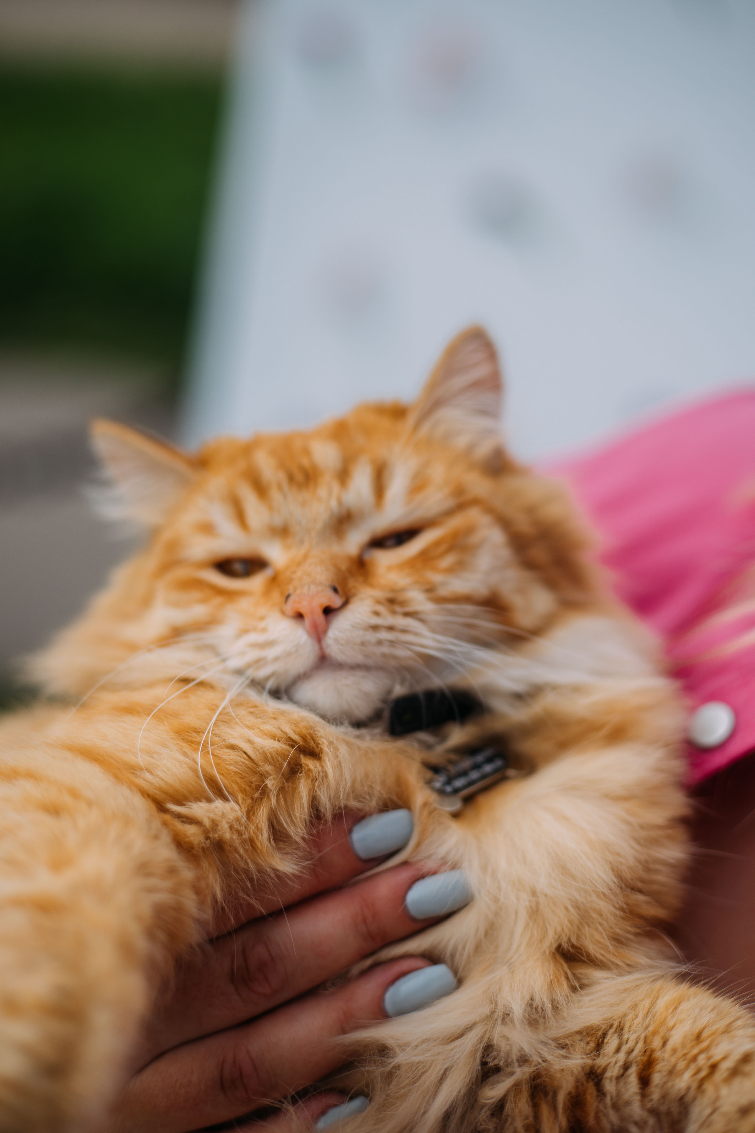 Съемка мероприятий. Семейный фотограф в Черемхово Анастасия Старикова