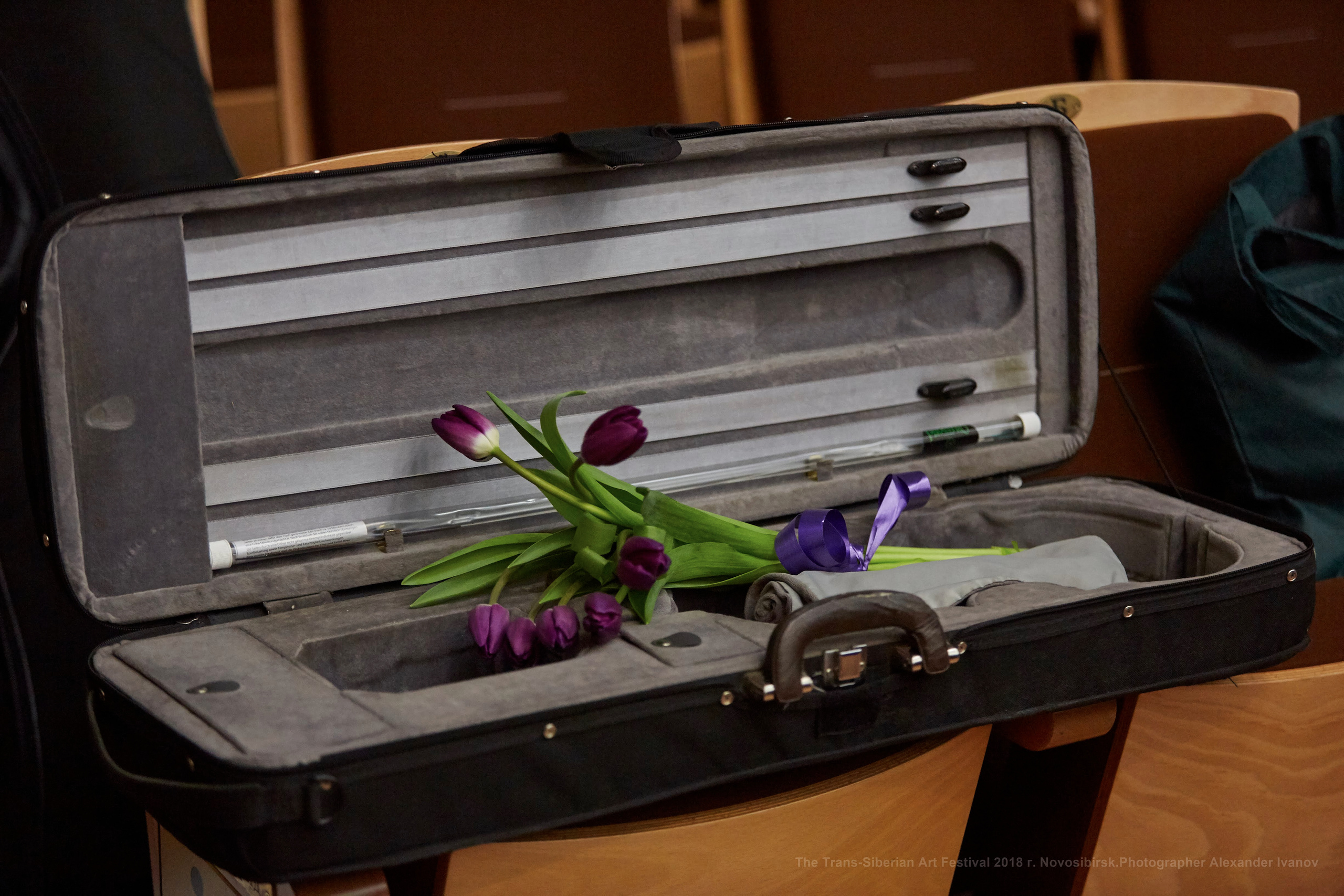 Жизнь в футляре. Профессиональный репортажный и студийный фотограф в Москве