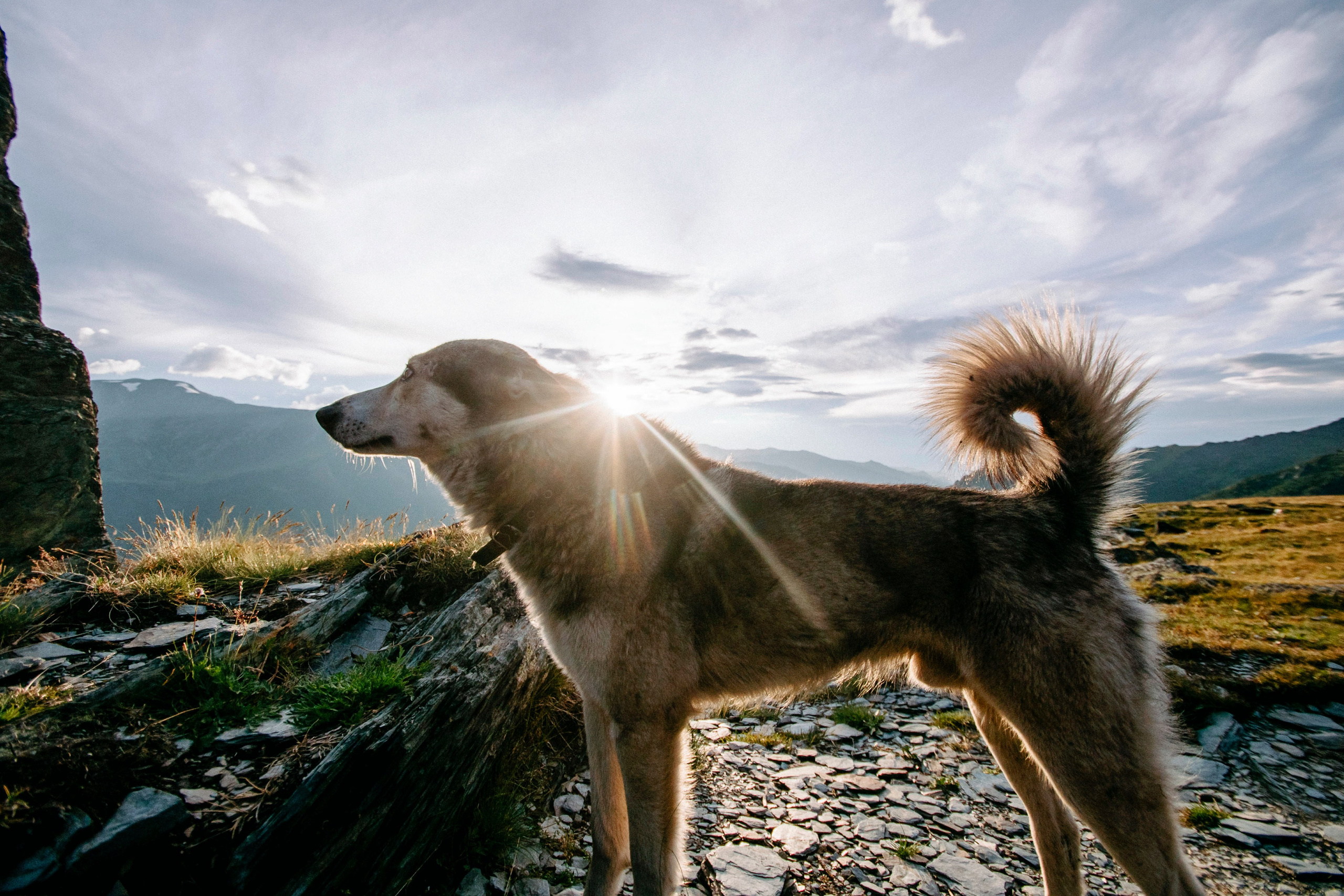 Altai landscape. Iraogo