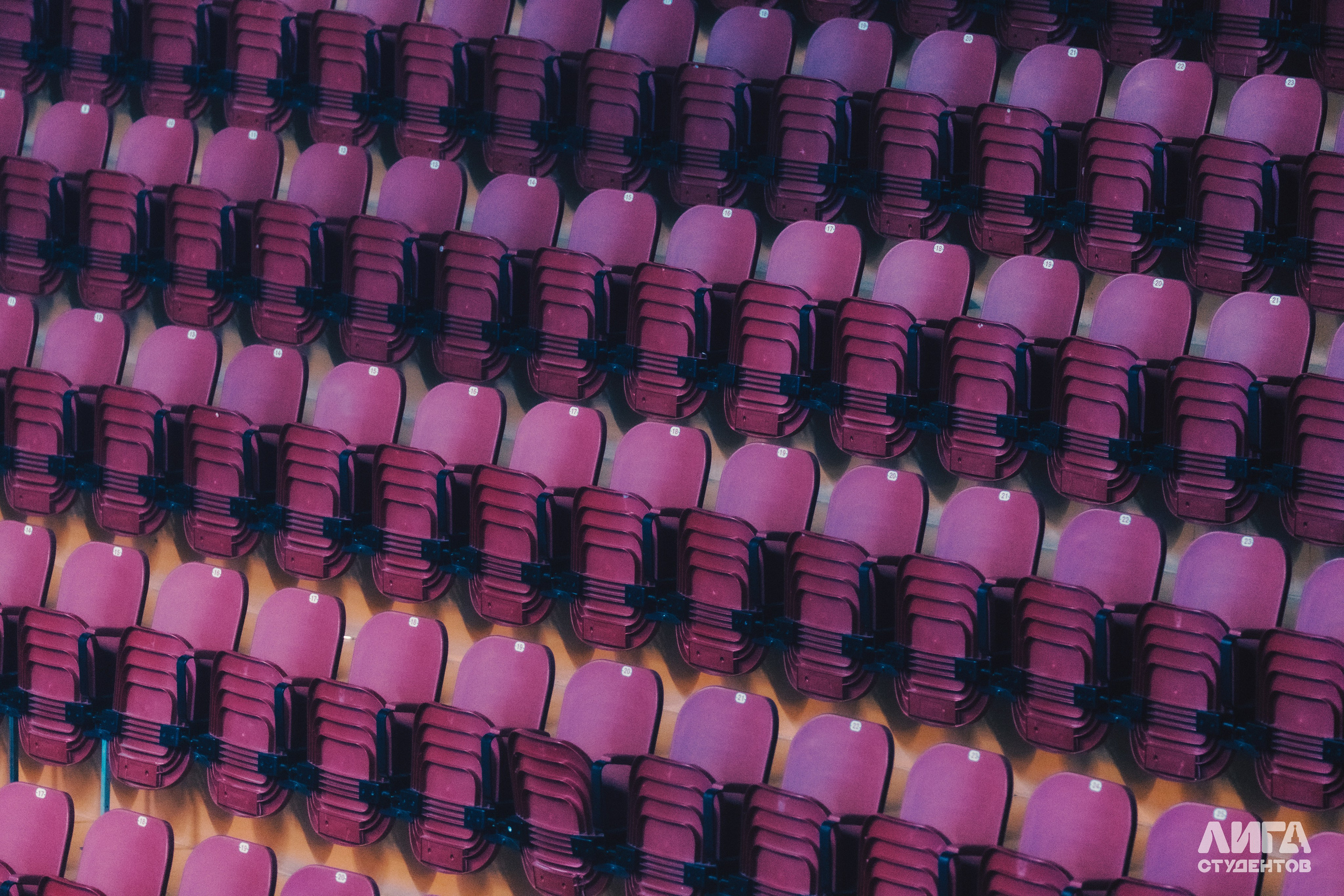 Российская Студенческая Весна 2025. Портретный фотограф в Казани Радомир Заздравных