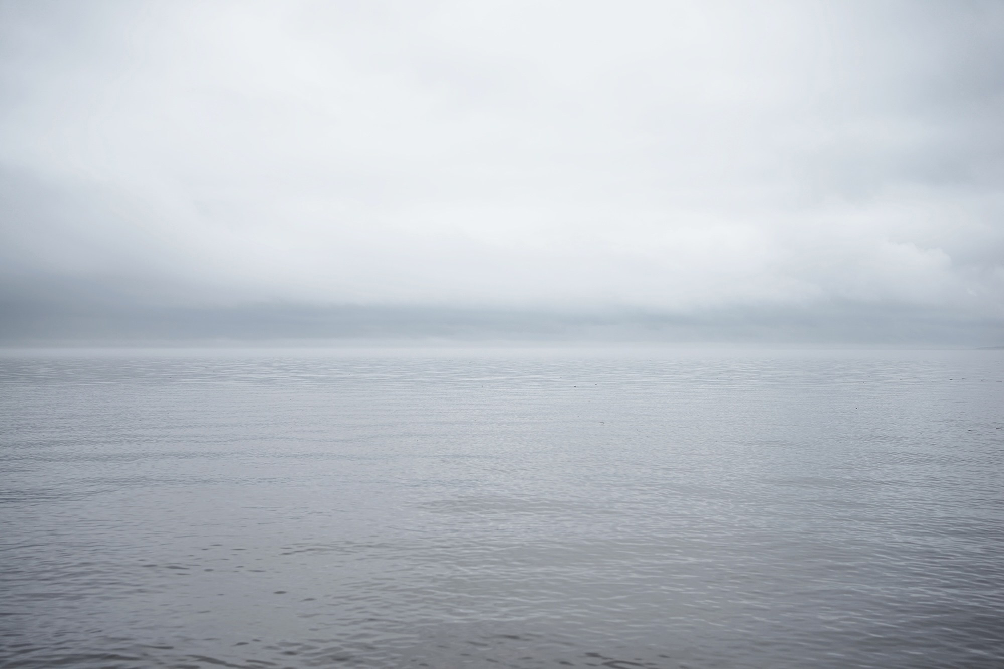 Sea, kind of. Daria Kryl