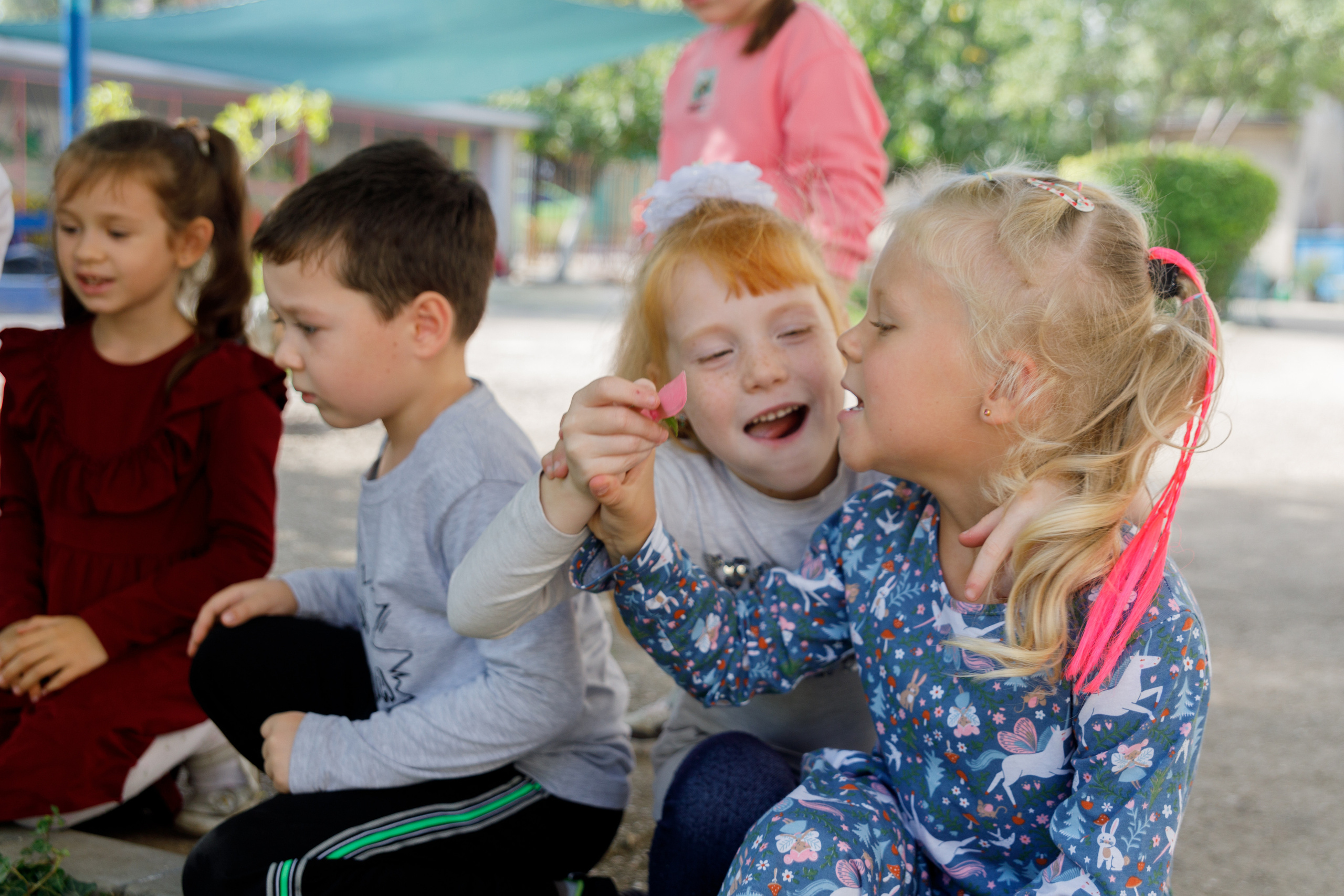 Выпускные альбомы для детского сада. Выпускные альбомы в Крыму, Севастополе и Симферополе