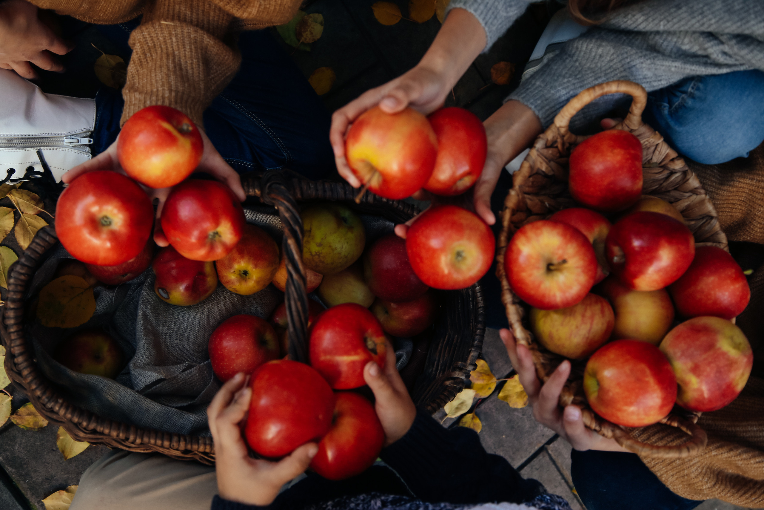Яблочный пирог. Спортивный и семейный фотограф в Екатеринбурге Ольга Горбунова меня