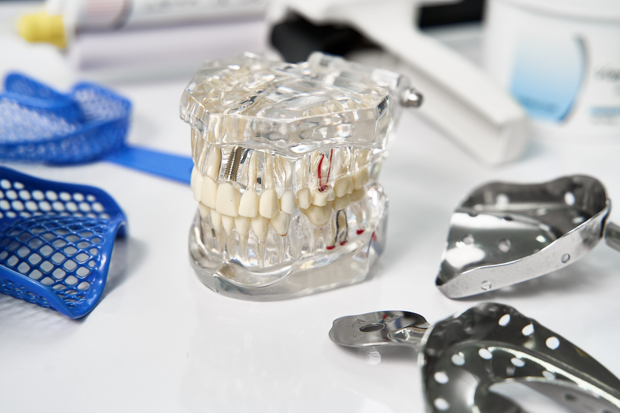 Союз стоматологов. Фотограф Ольвия Капранова в Москве и московской области